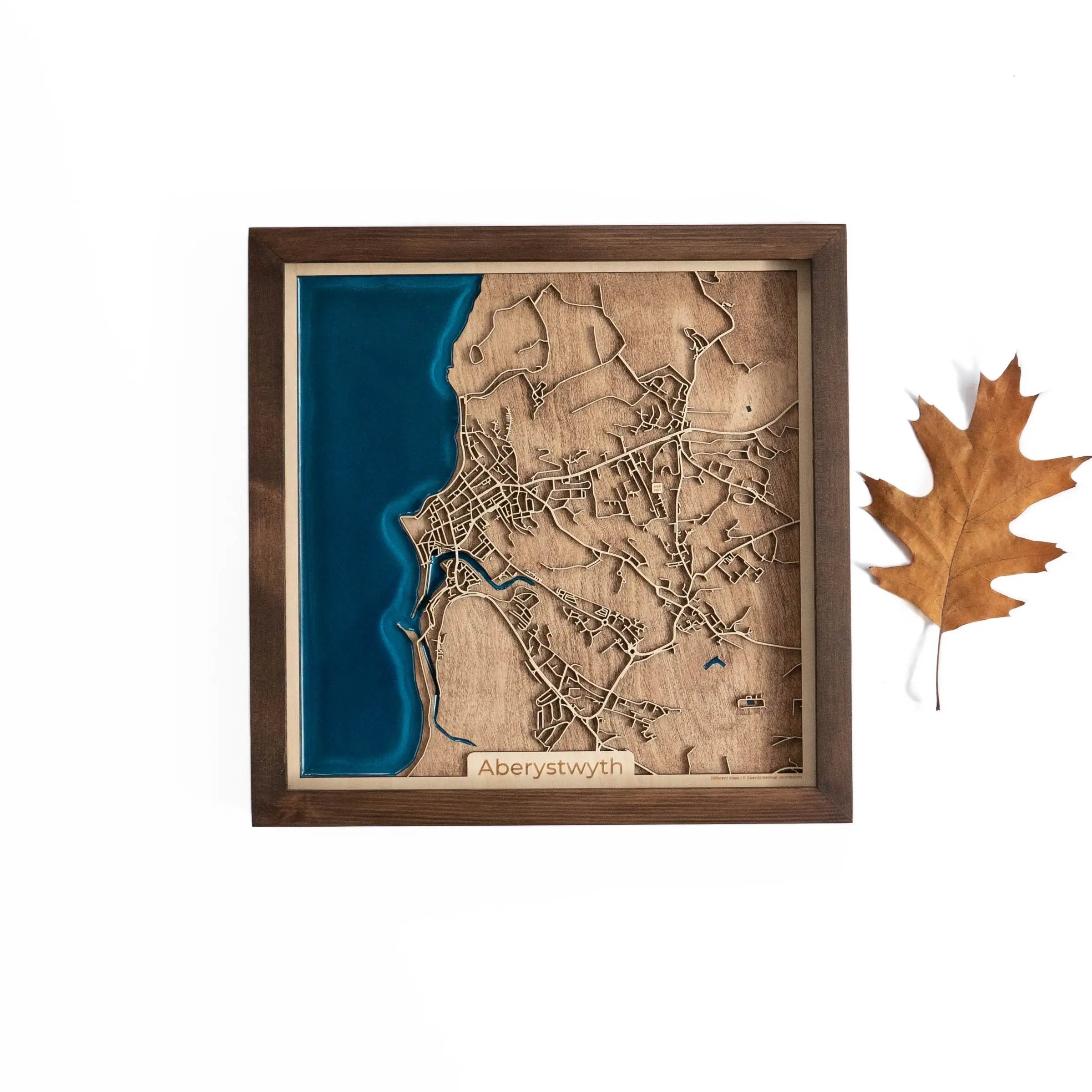 Aberystwyth Wood map
