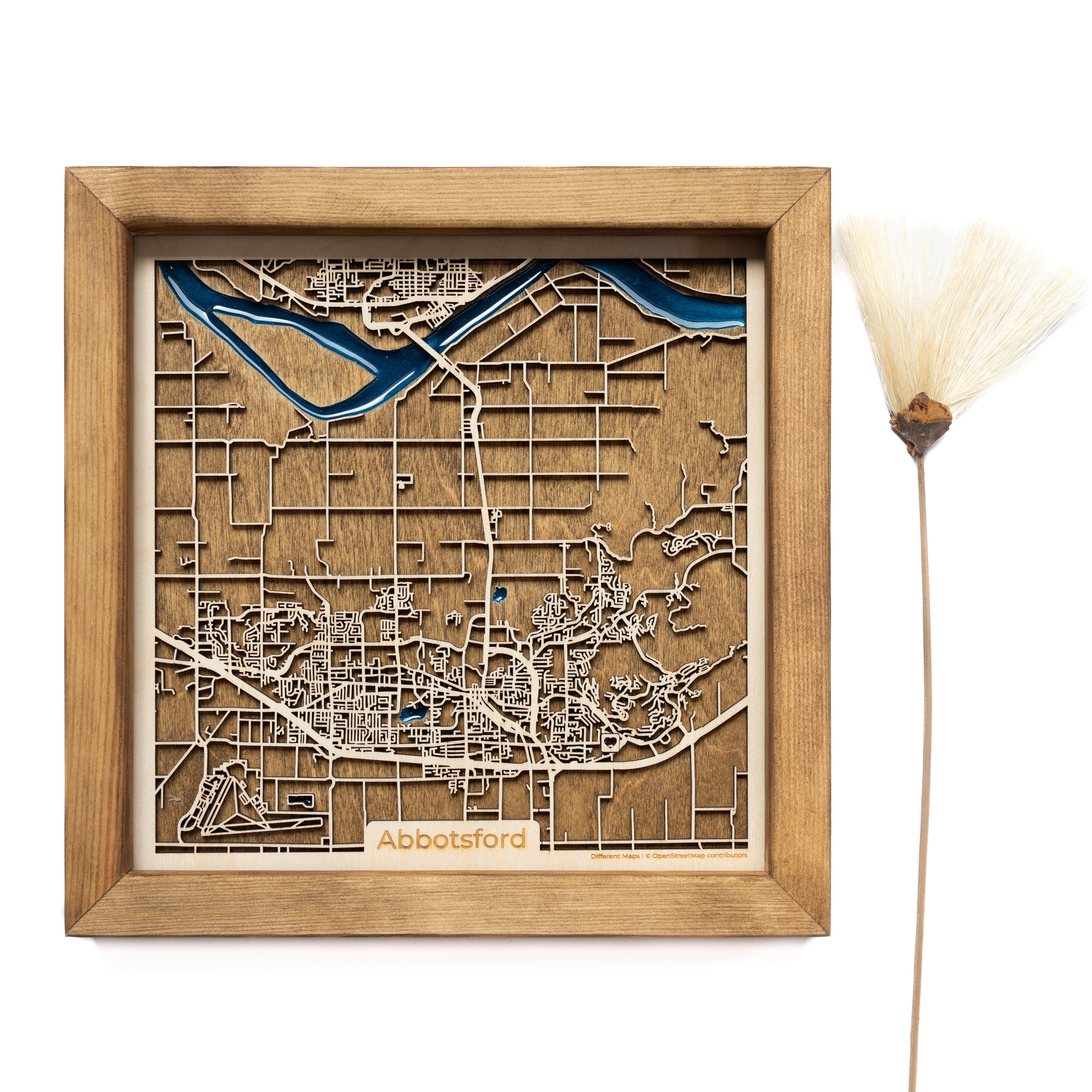 Abbotsford Wood Map