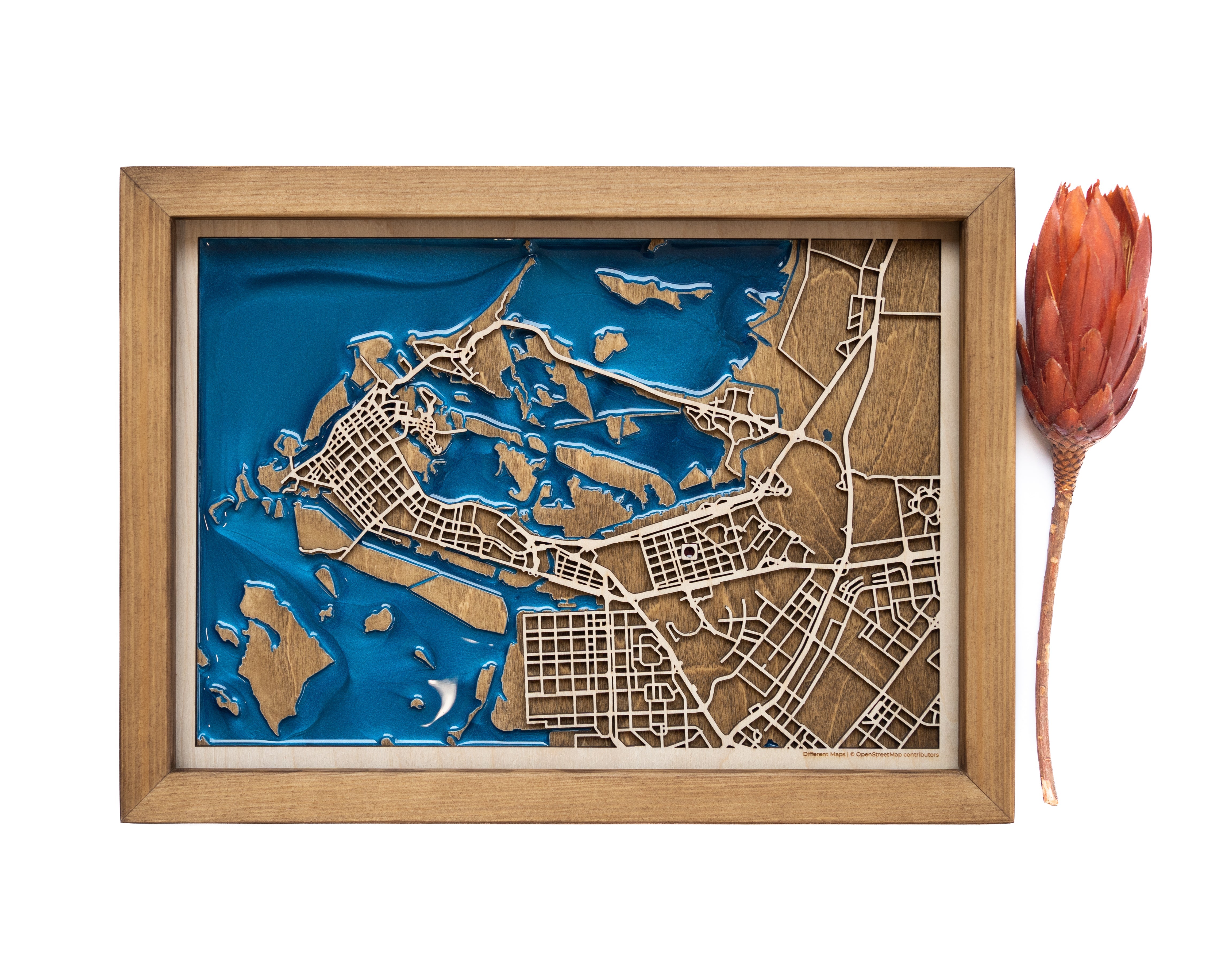 Abu Dhabi Wood Map