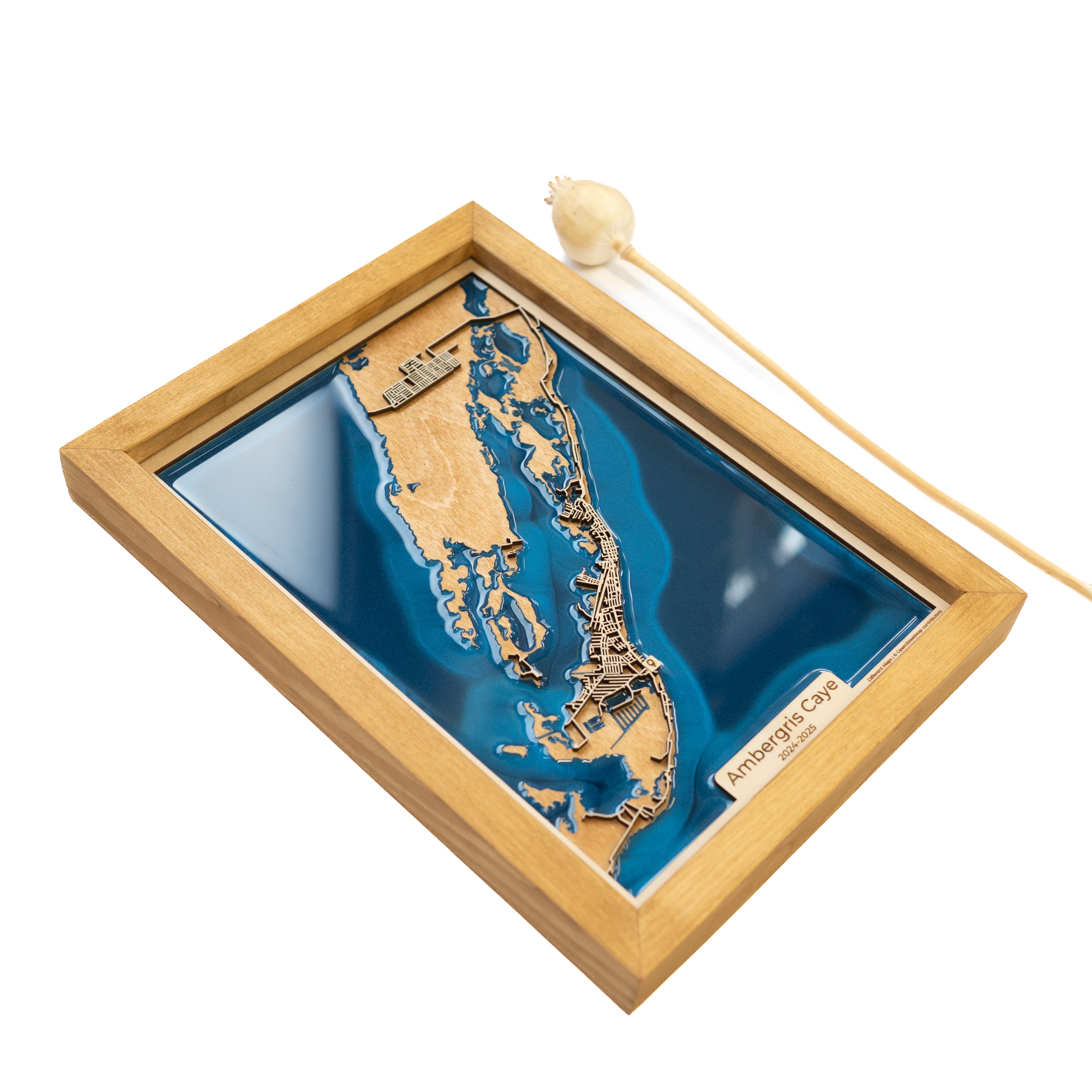 Ambergris Caye Belize Map