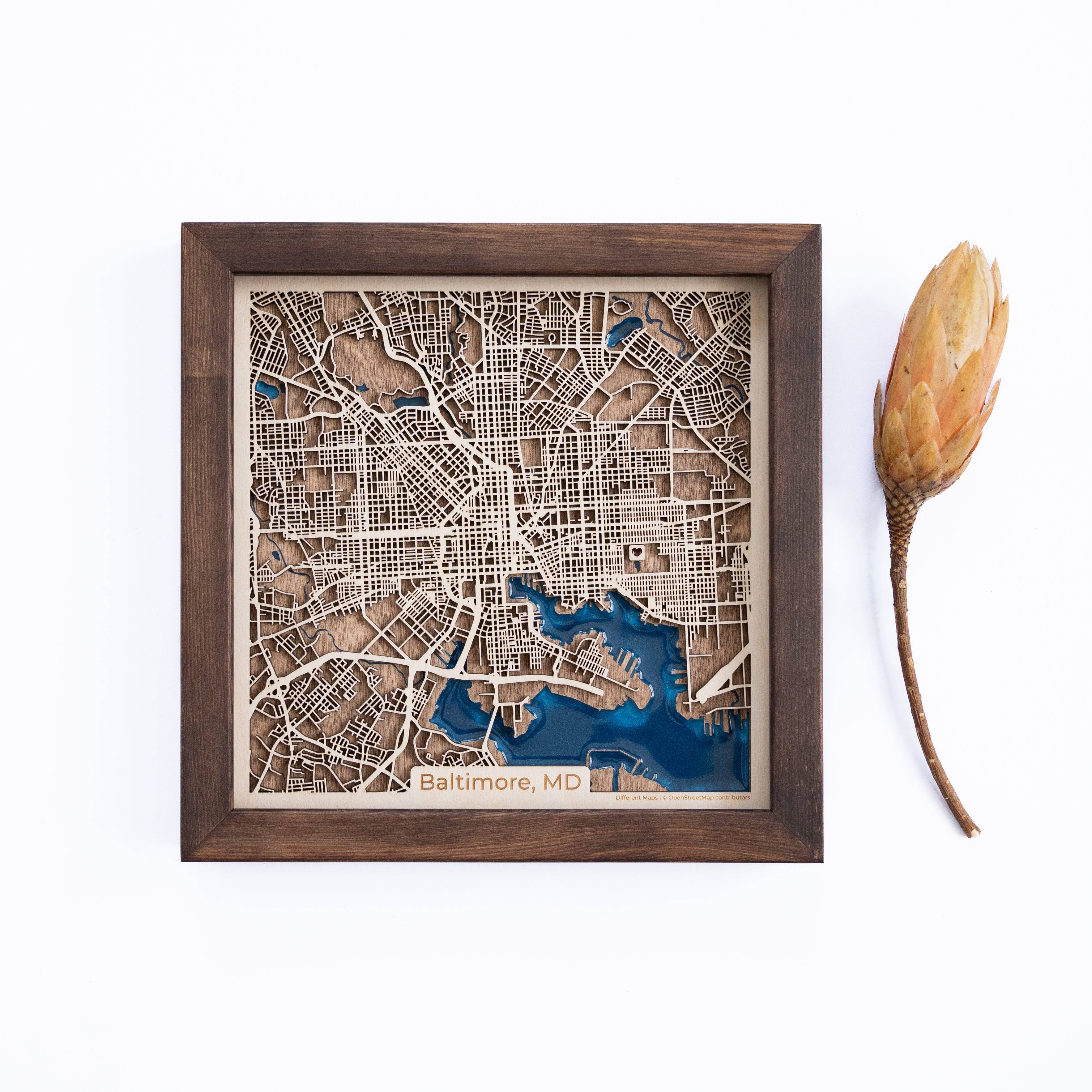 Baltimore Wood Map