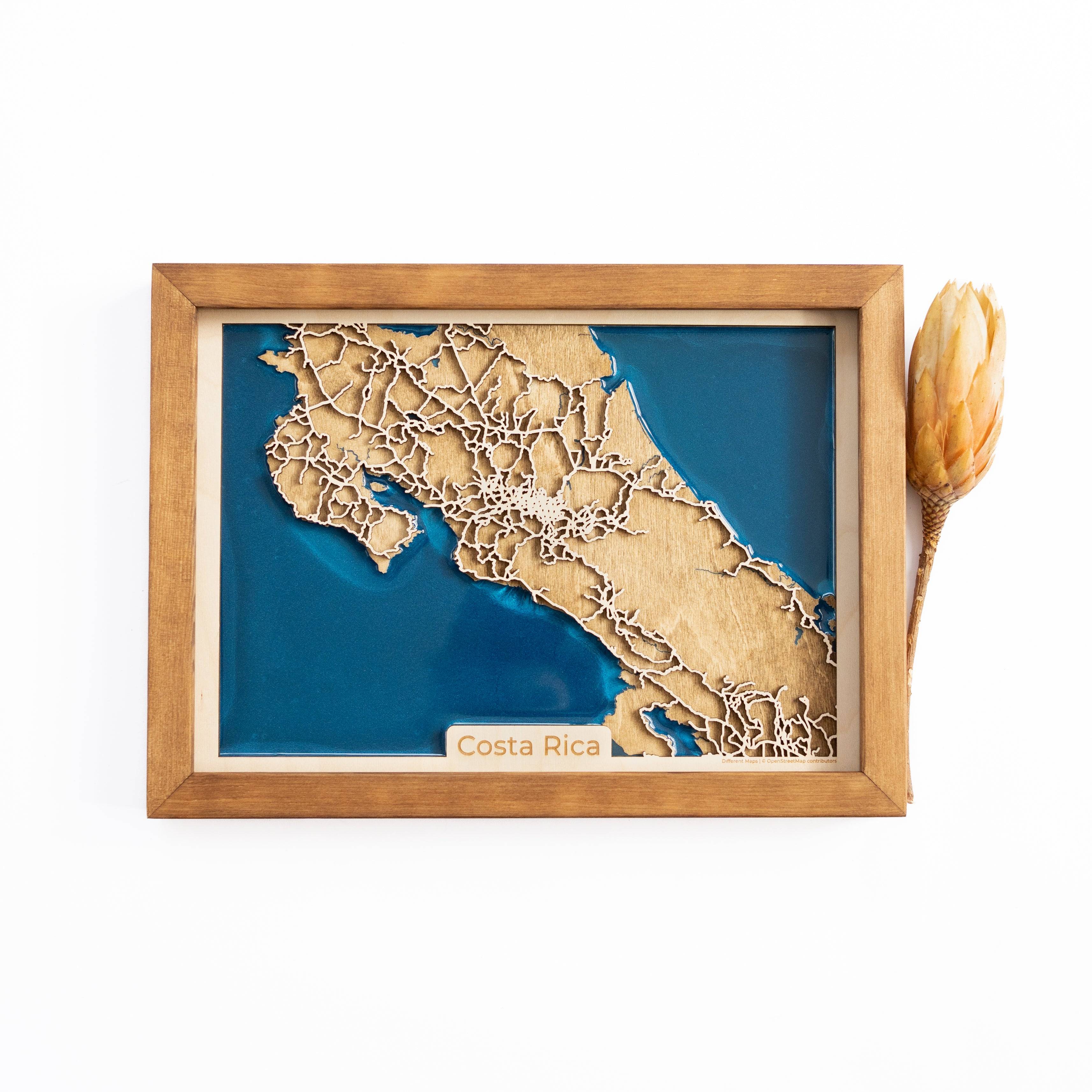 Costa Rica Wood Map
