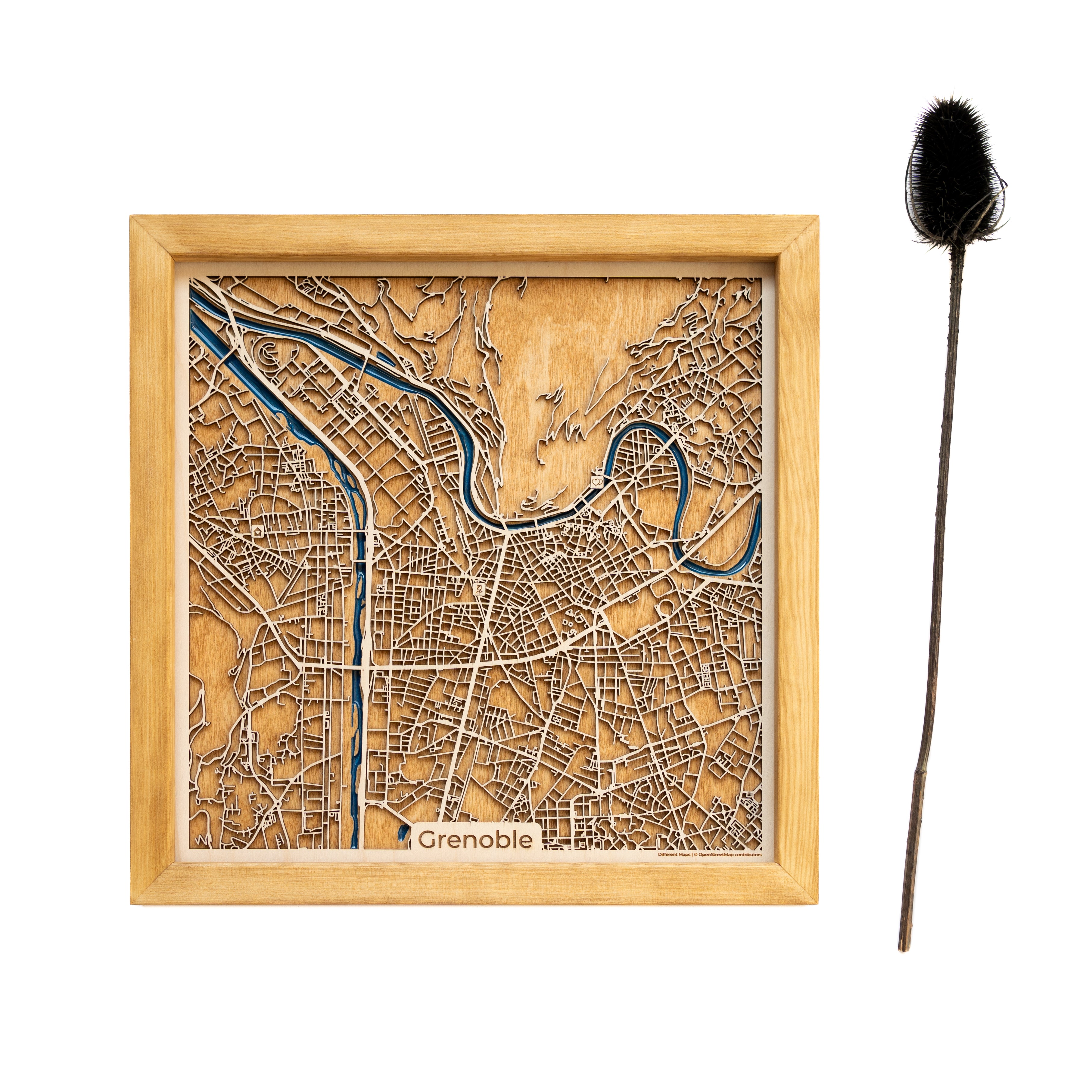 Grenoble Vintage Map