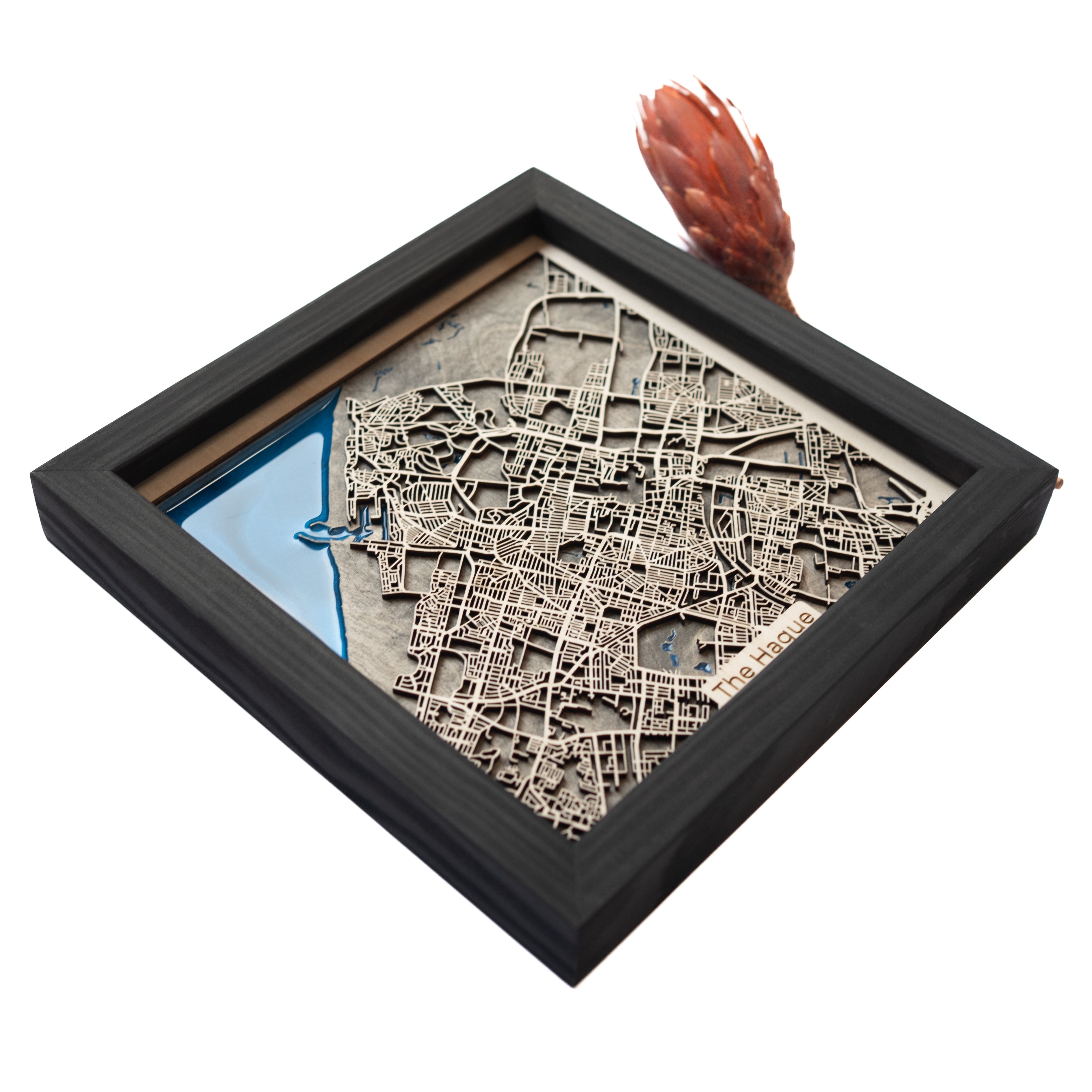 Den Haag Netherlands Map