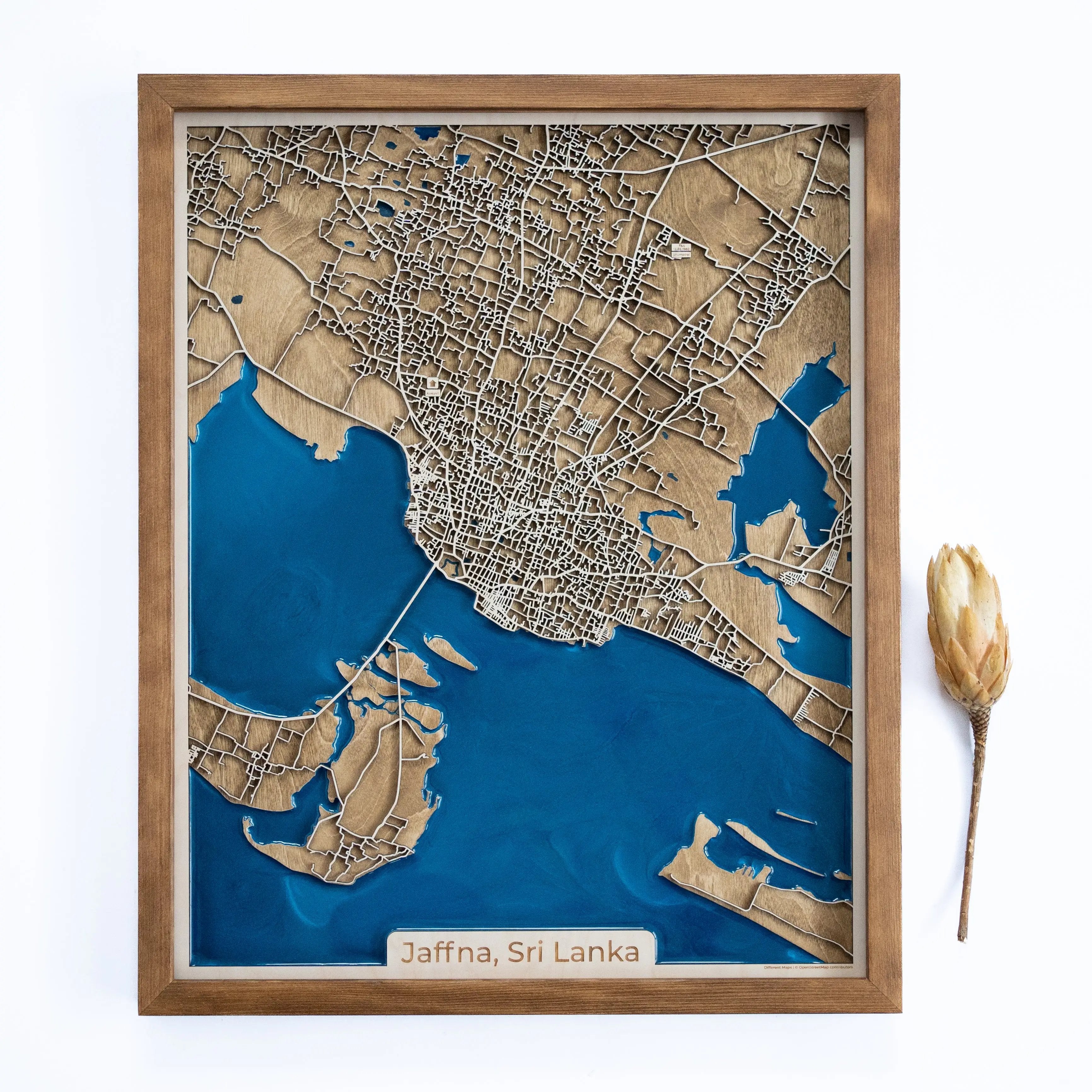 Sri Lanka Wooden Map