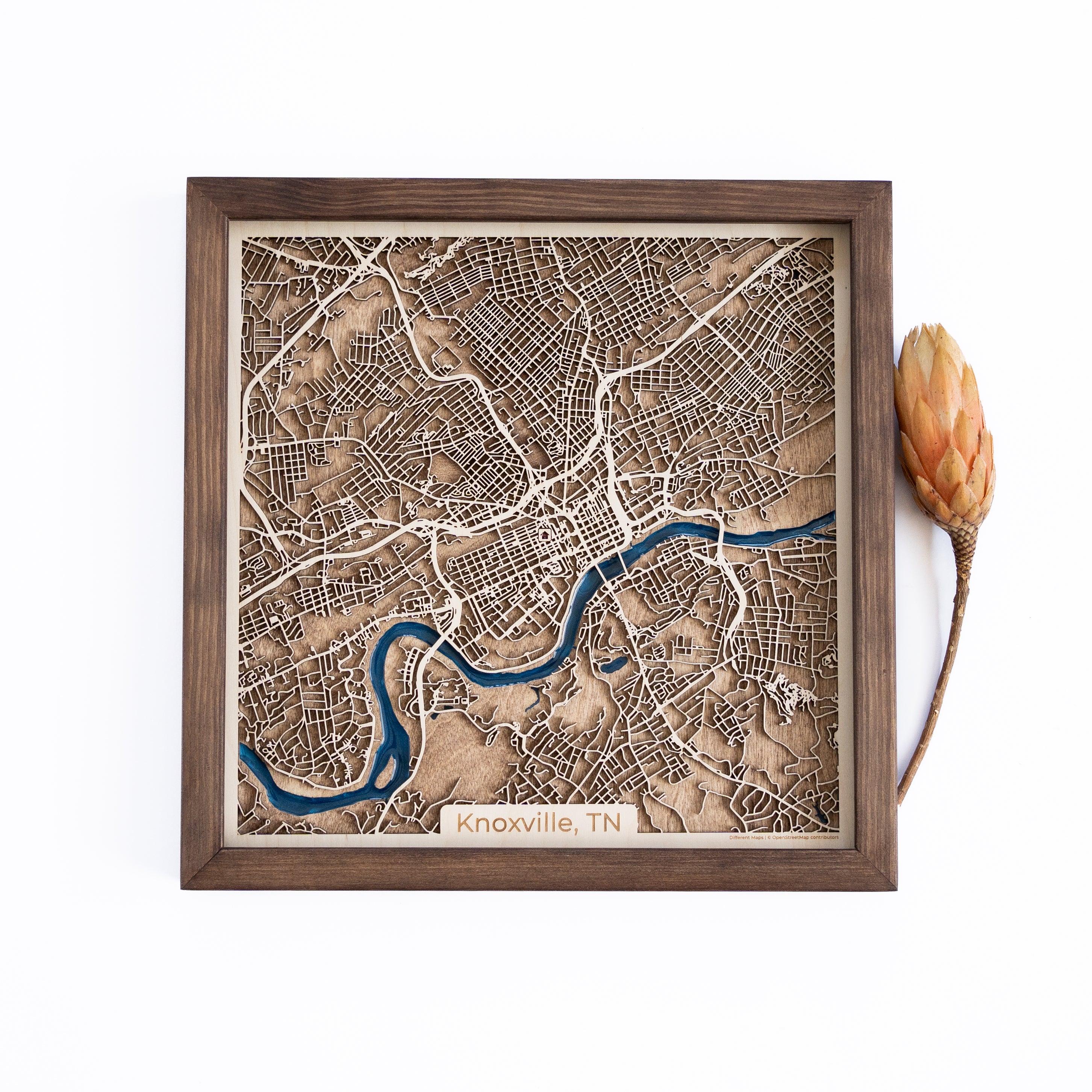 Knoxville Wood Map