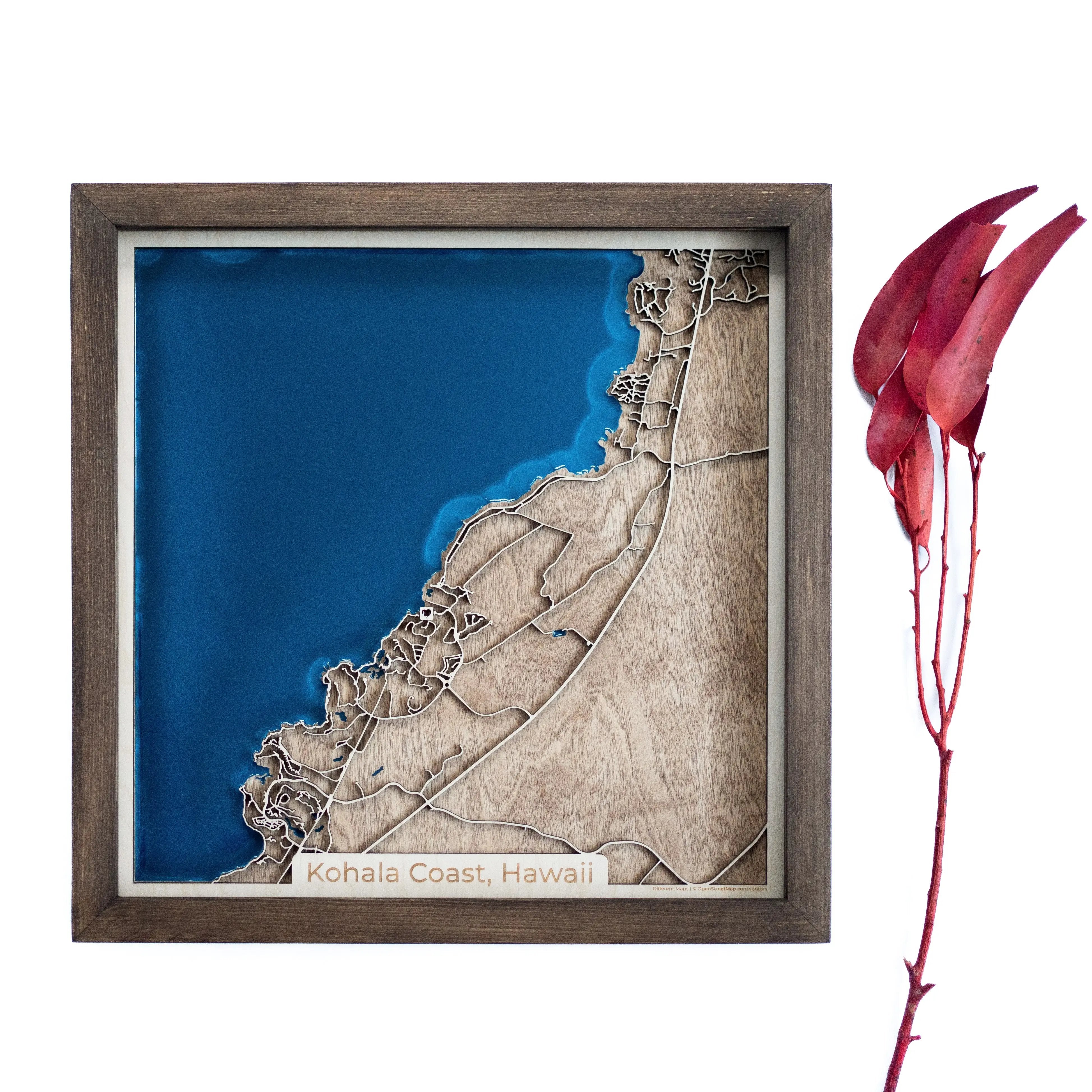 Kohala Coast Wood Map