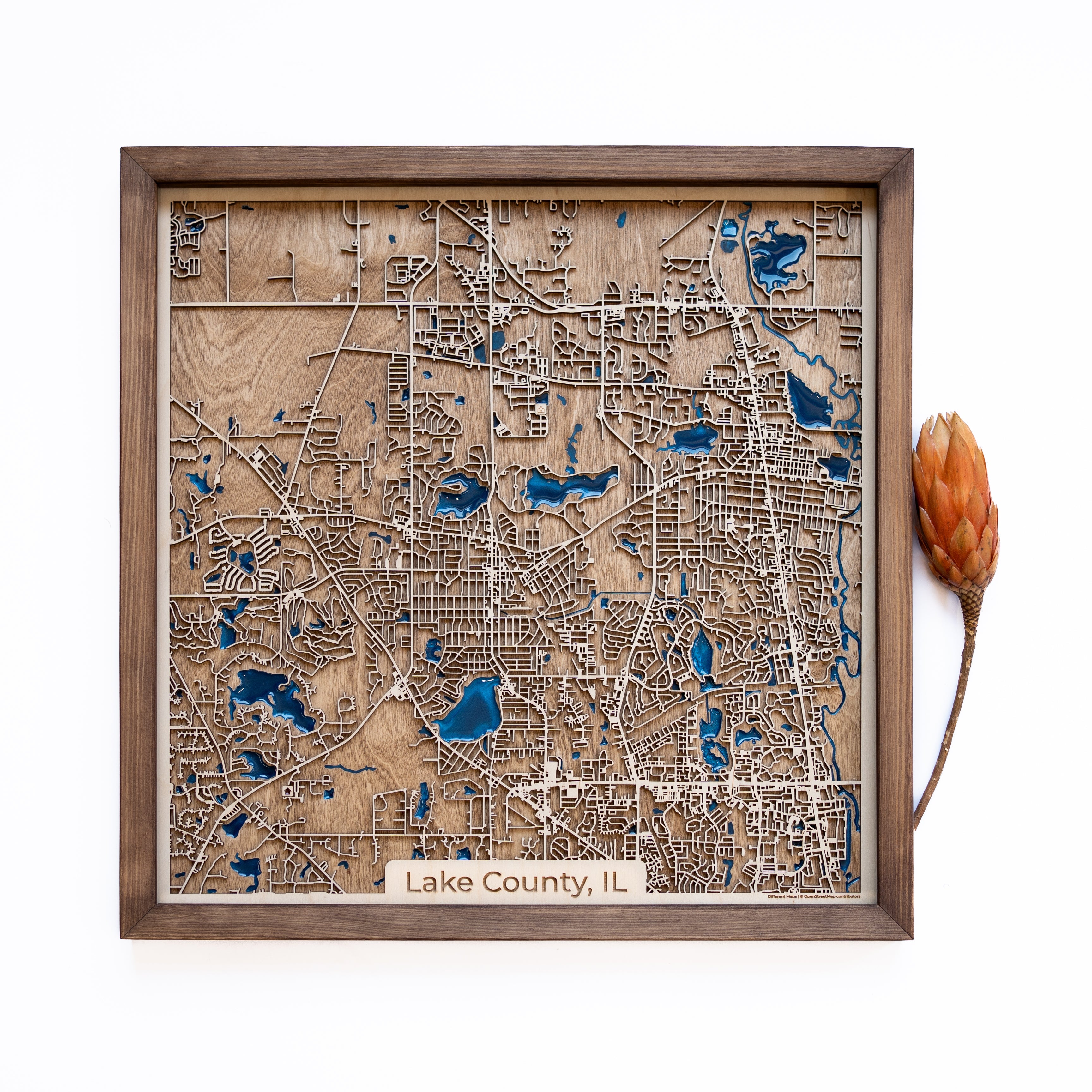 Lake County Wood Map