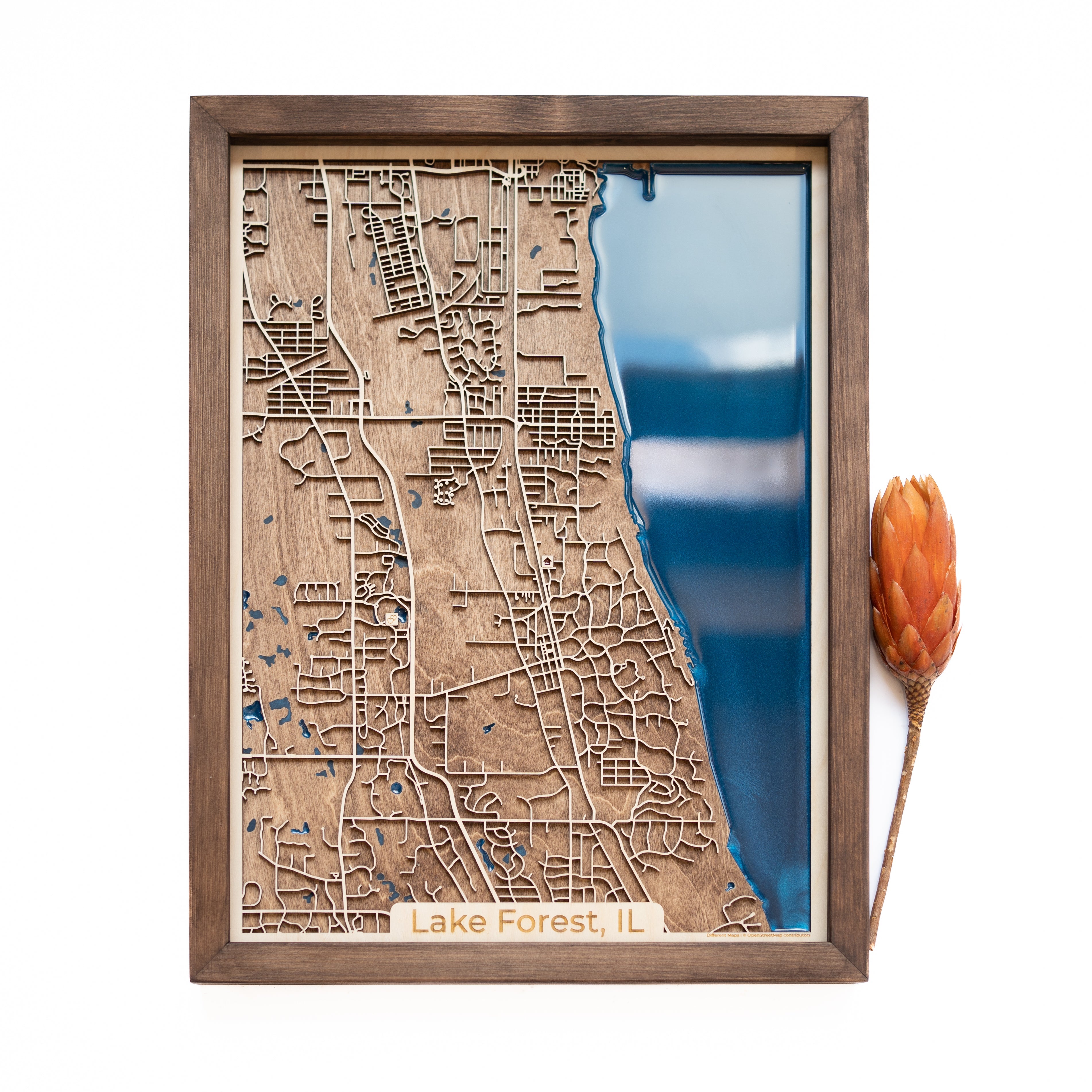 Lake Forest Wood Map