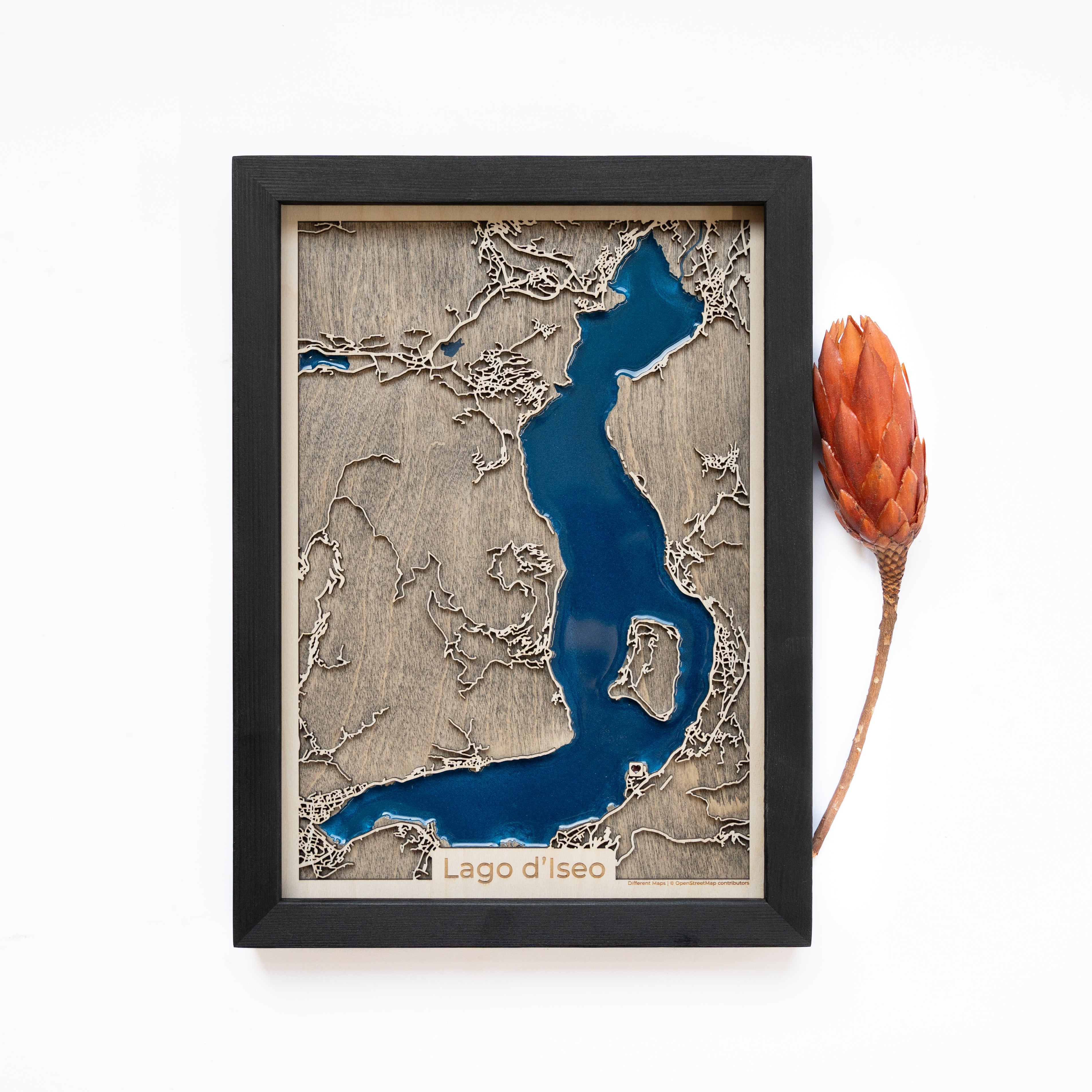 Lake Iseo Wood Map
