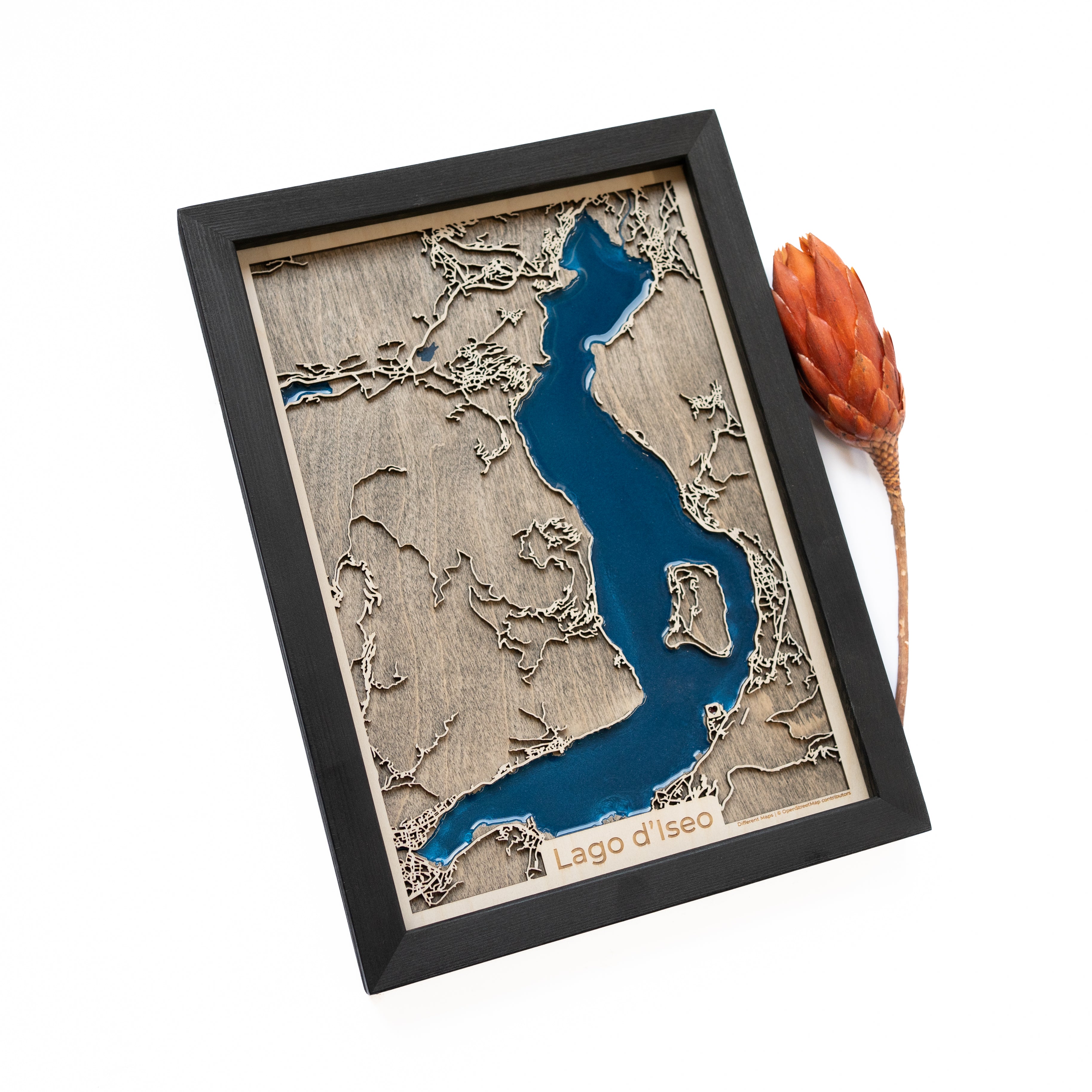 Lake Iseo Map
