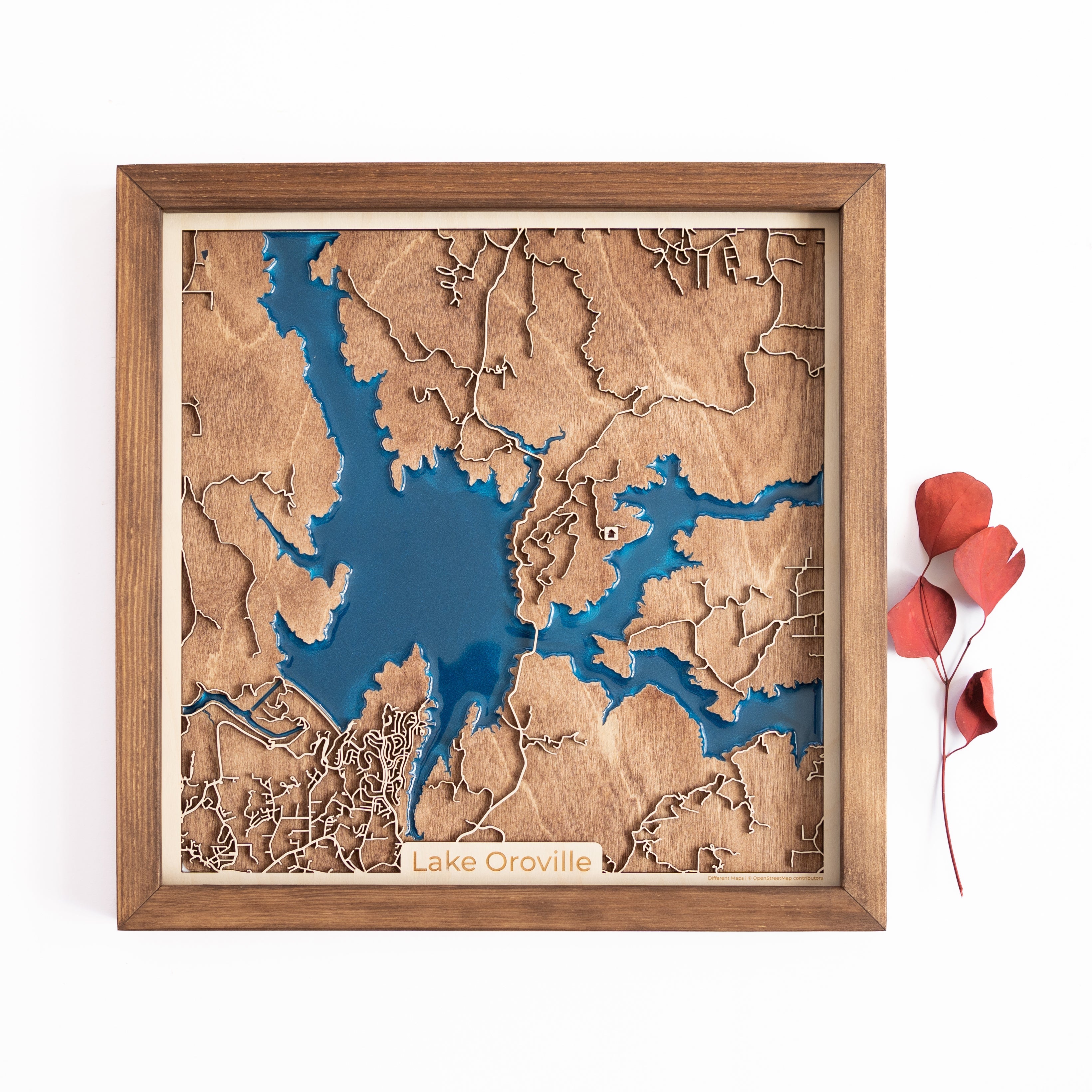 Lake Oroville Wood Map