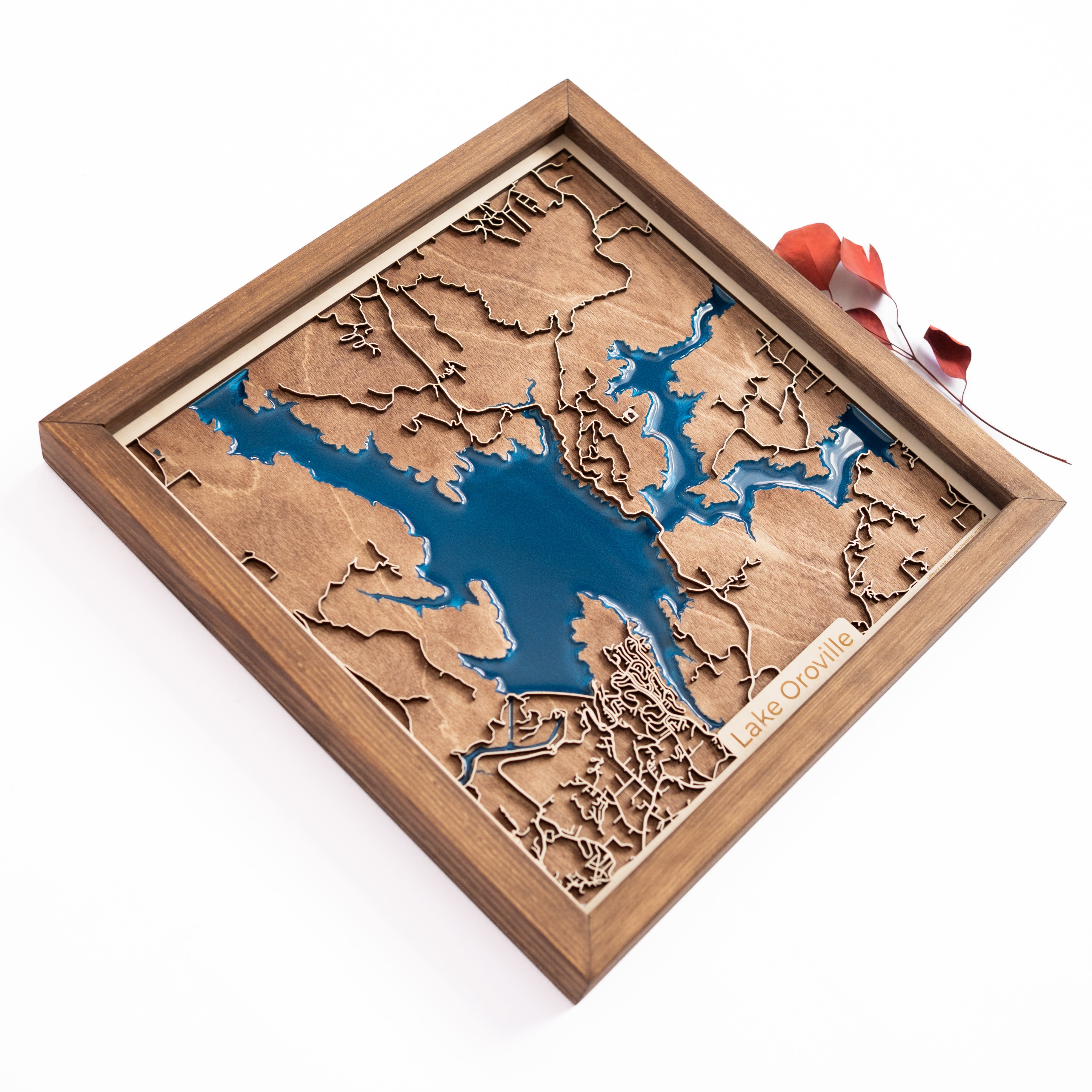 Lake Oroville Map