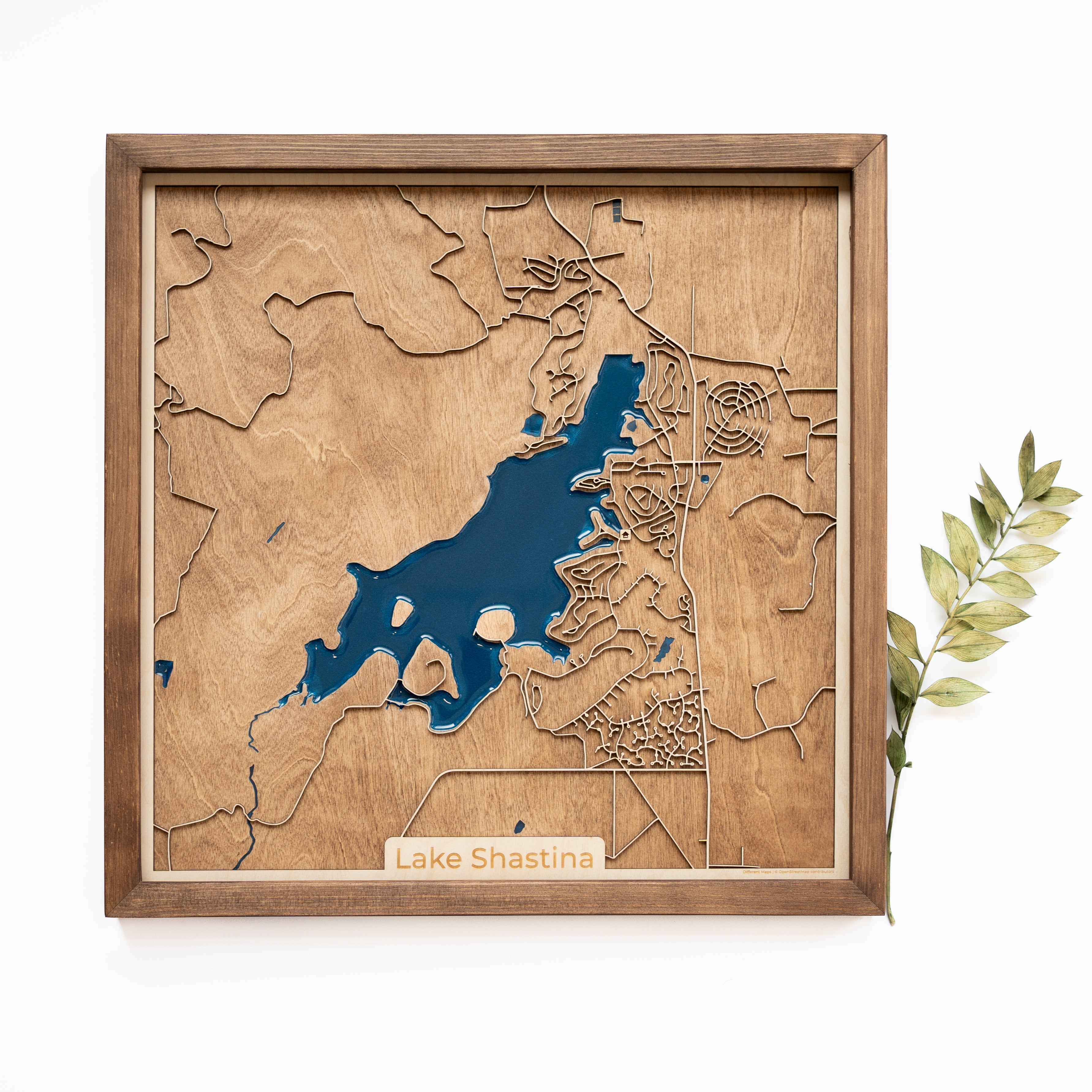 Lake Shastina Wood Map