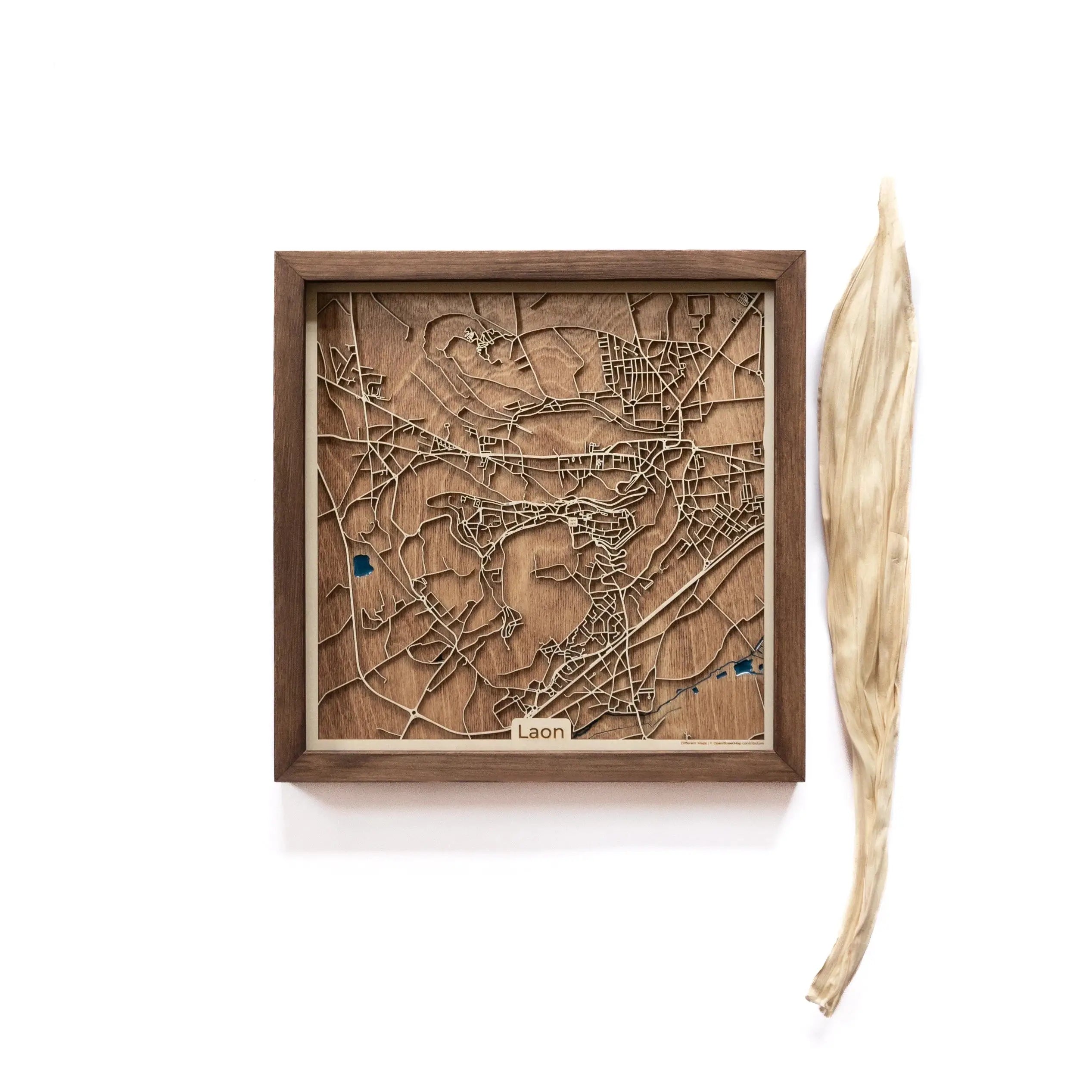 Laon France Wood Map