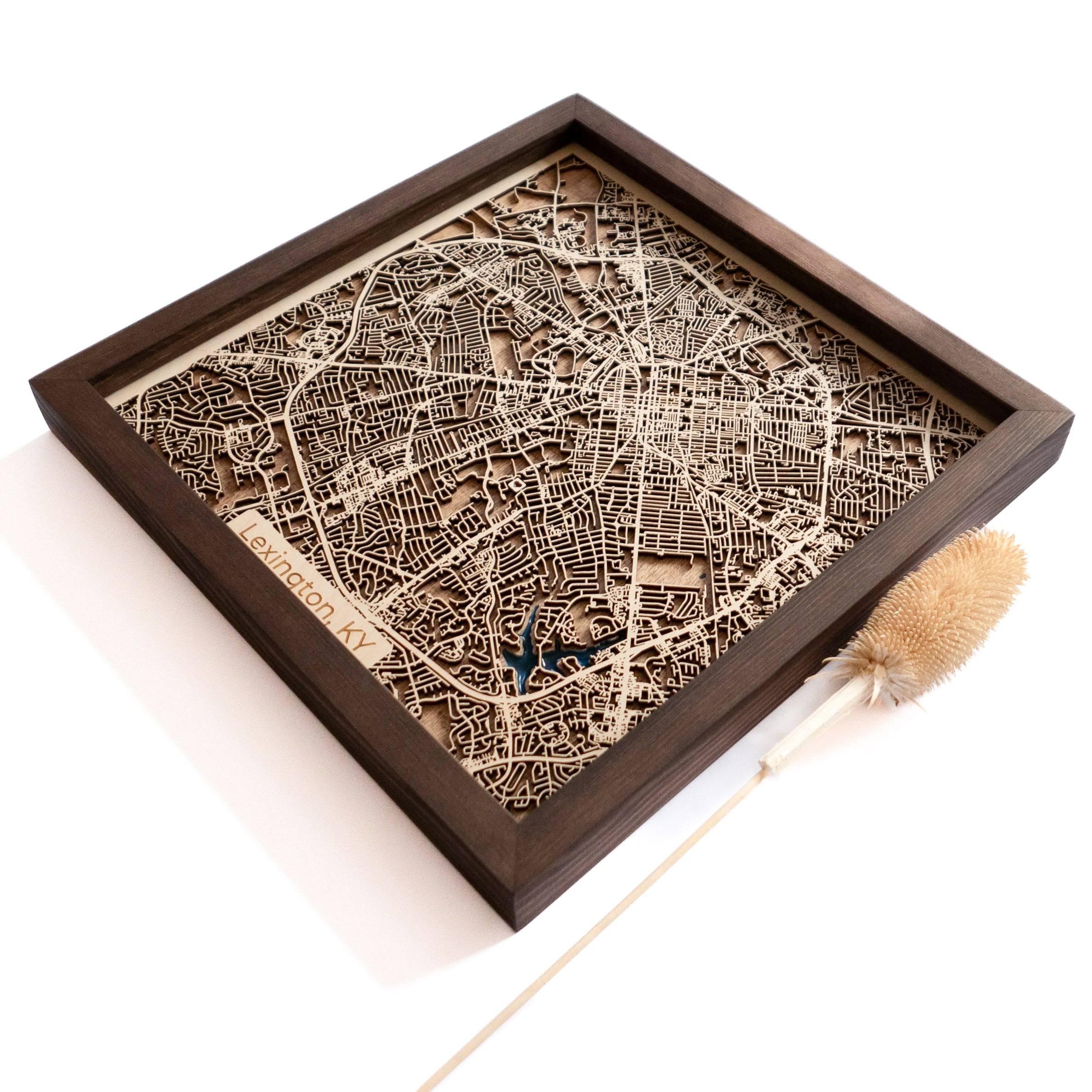 Lexington KY Map