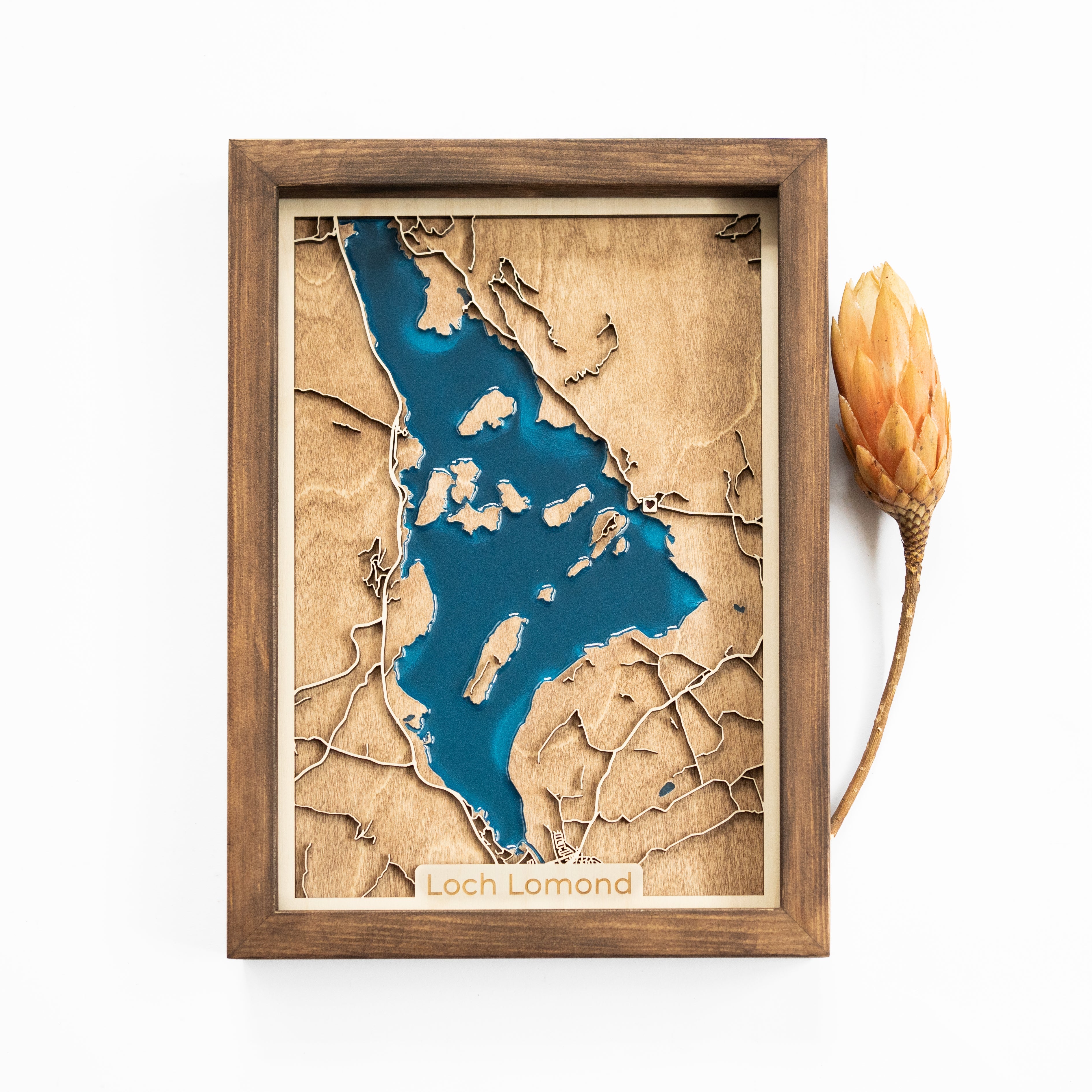 Loch Lomond Wood Map