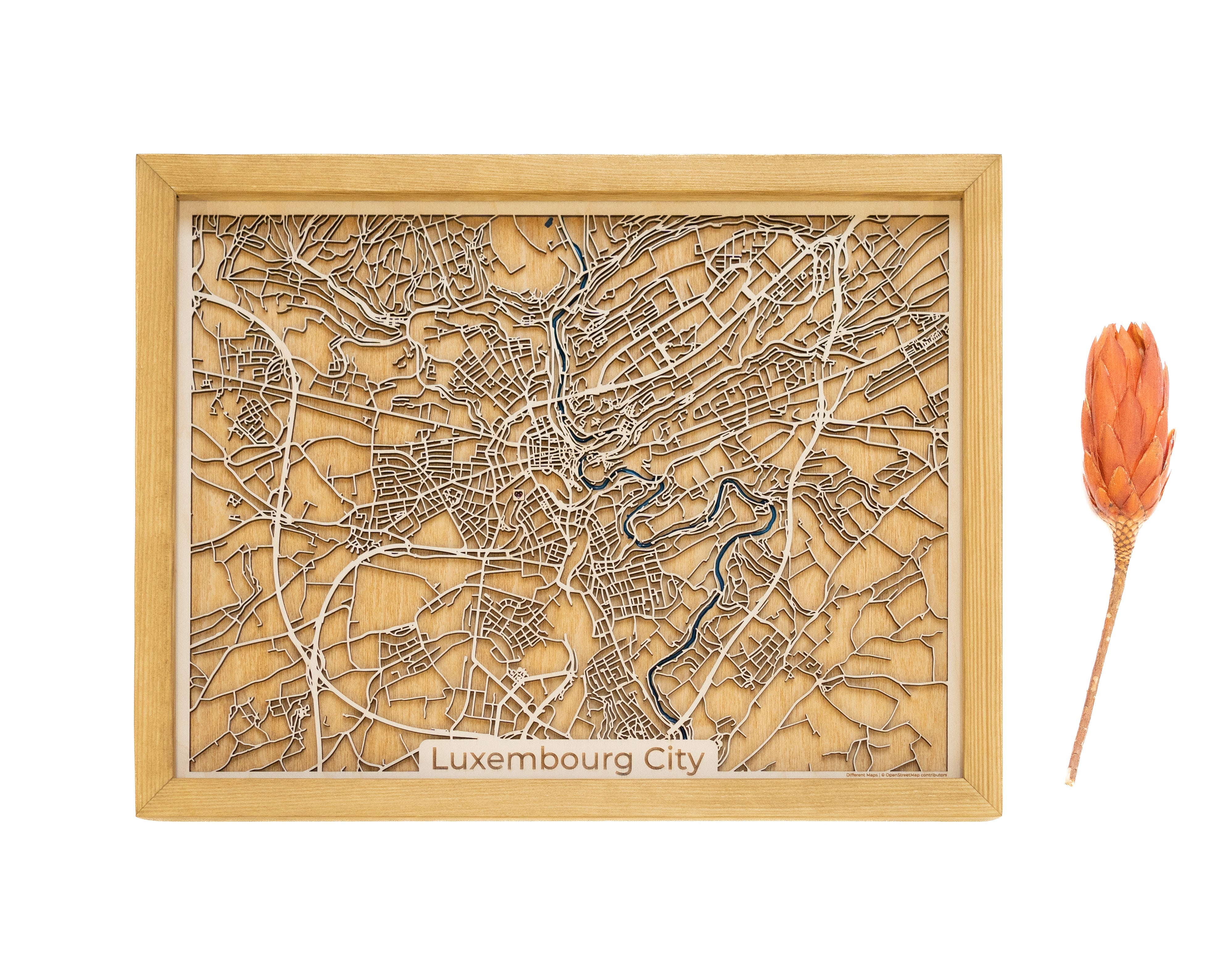 Luxembourg Wood Map