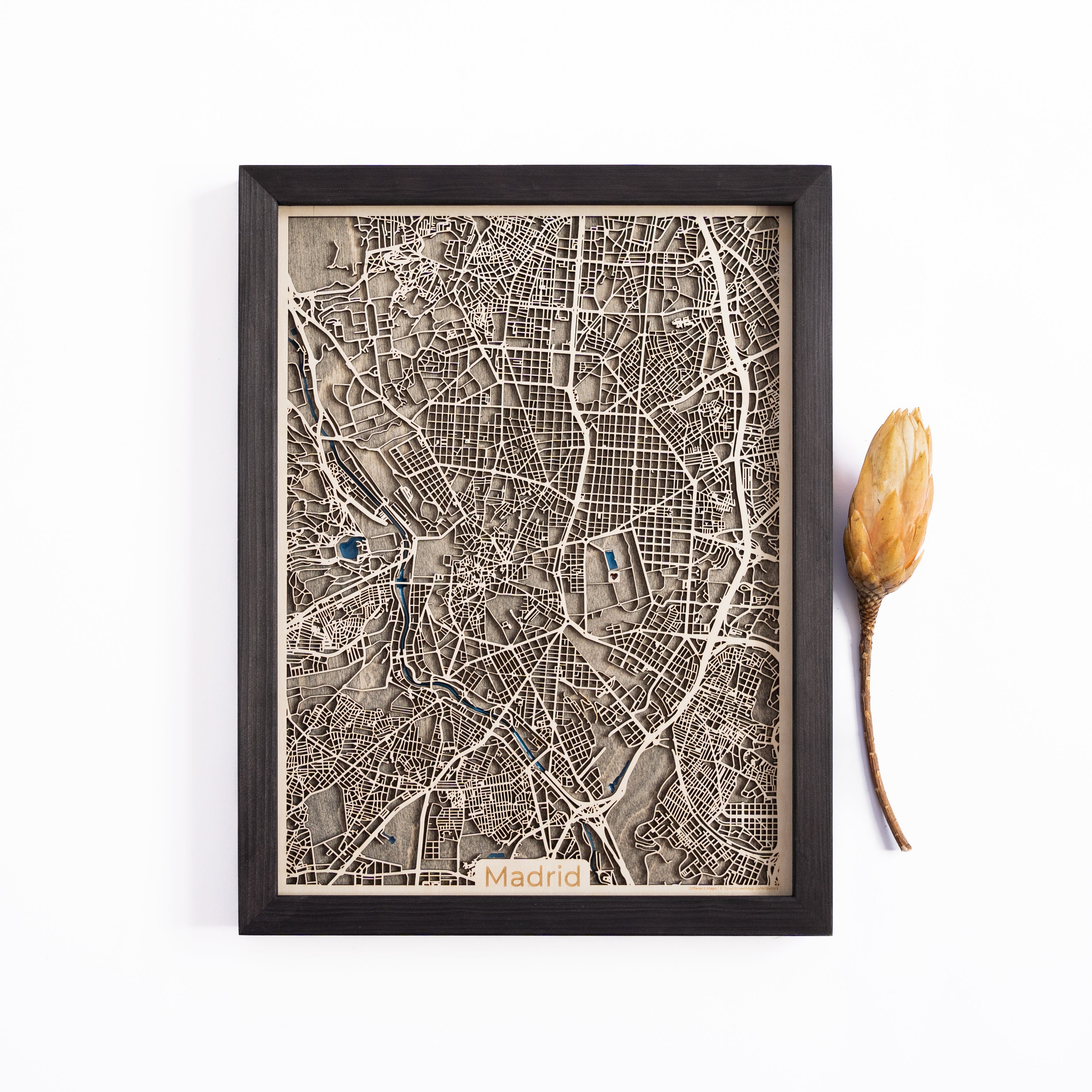 Madrid Wood Map