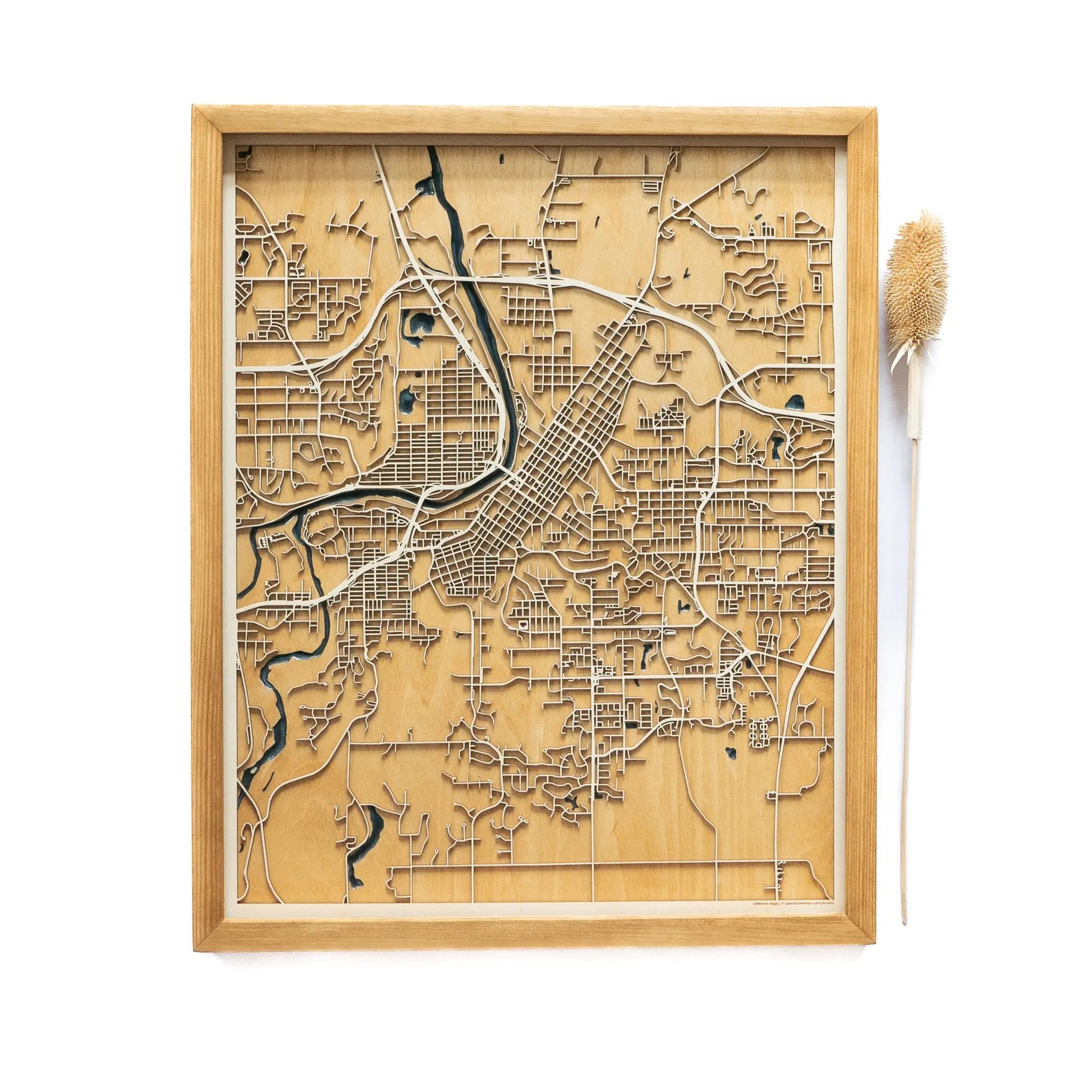 Mankato Wood Map