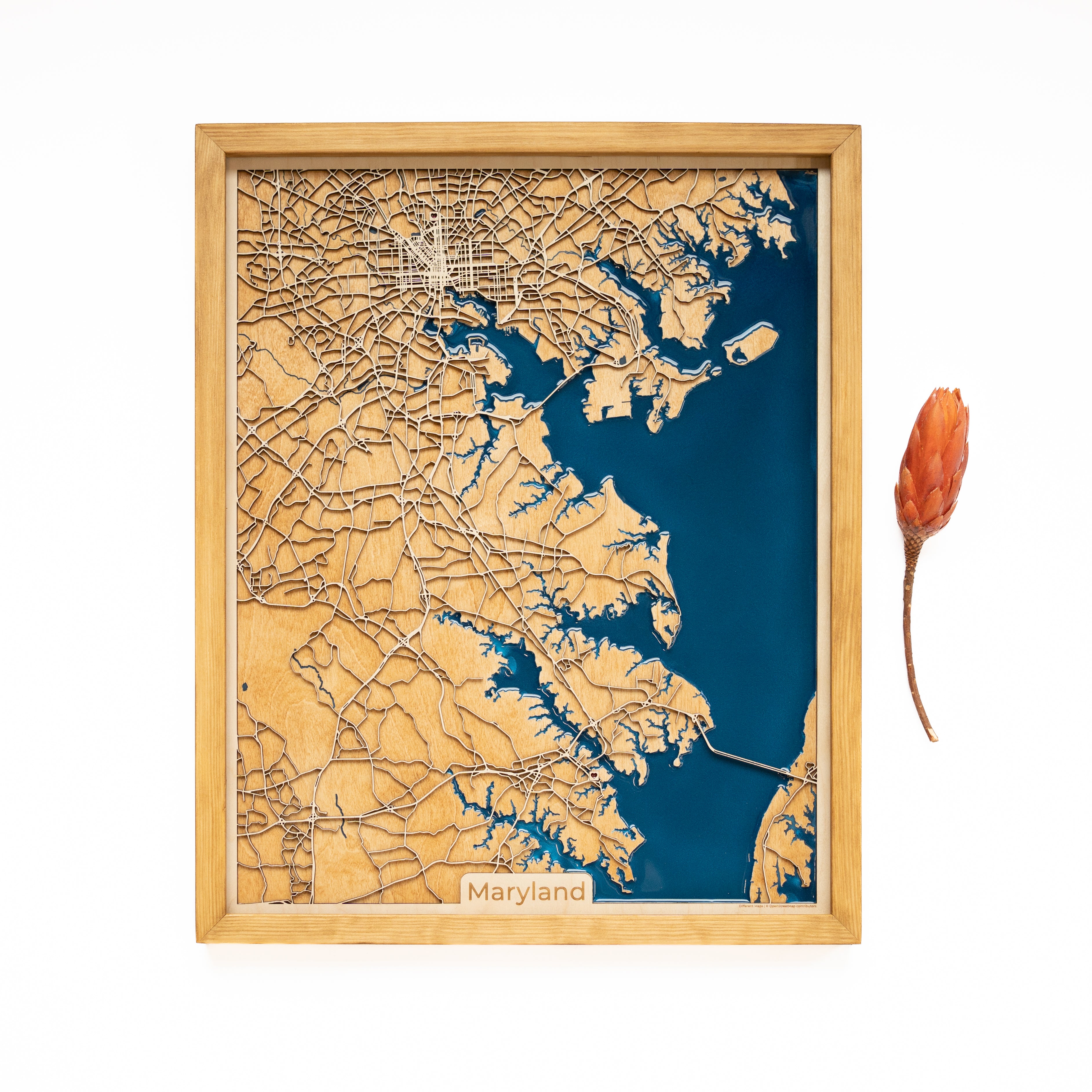 Maryland Wood Map