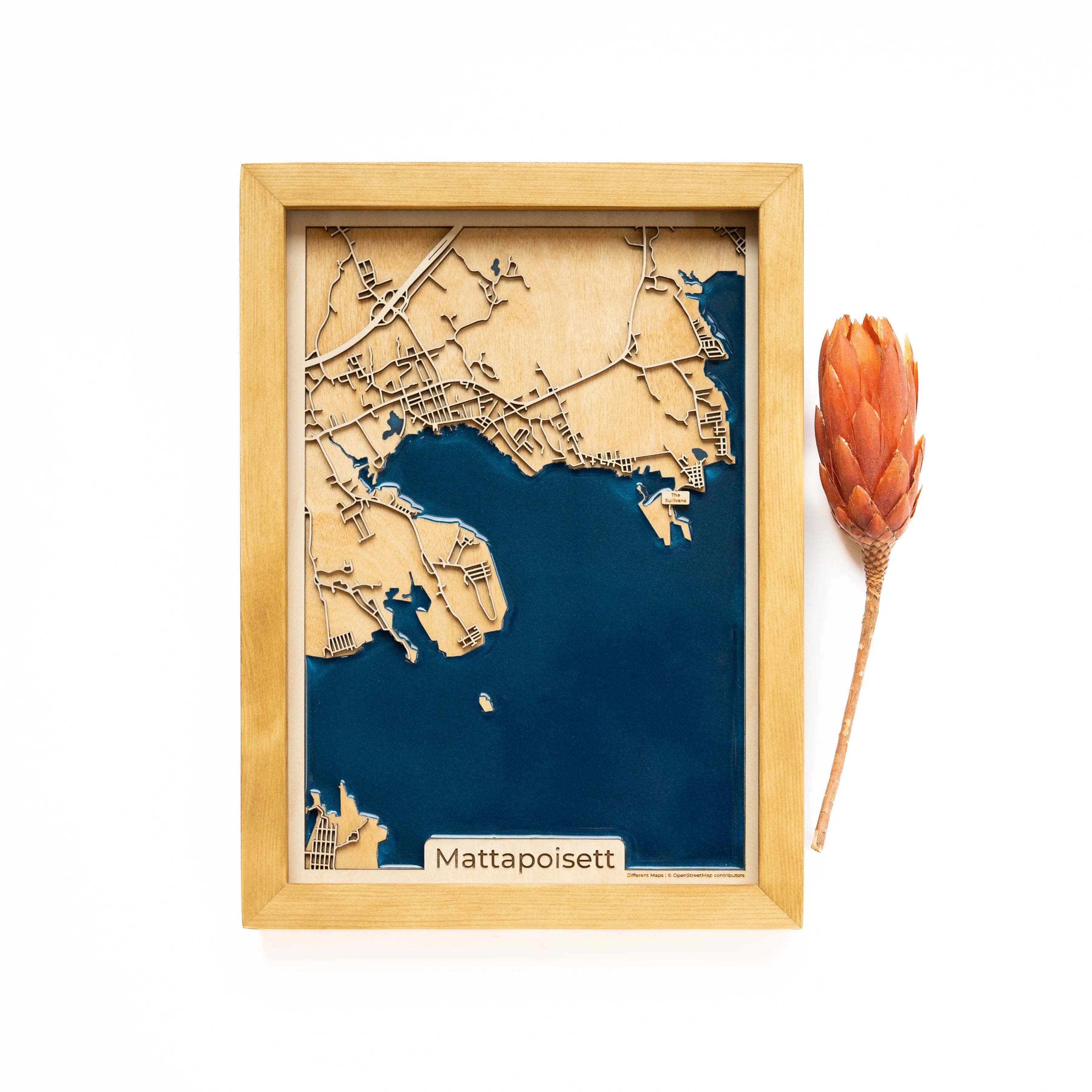 Mattapoisett Wood Map