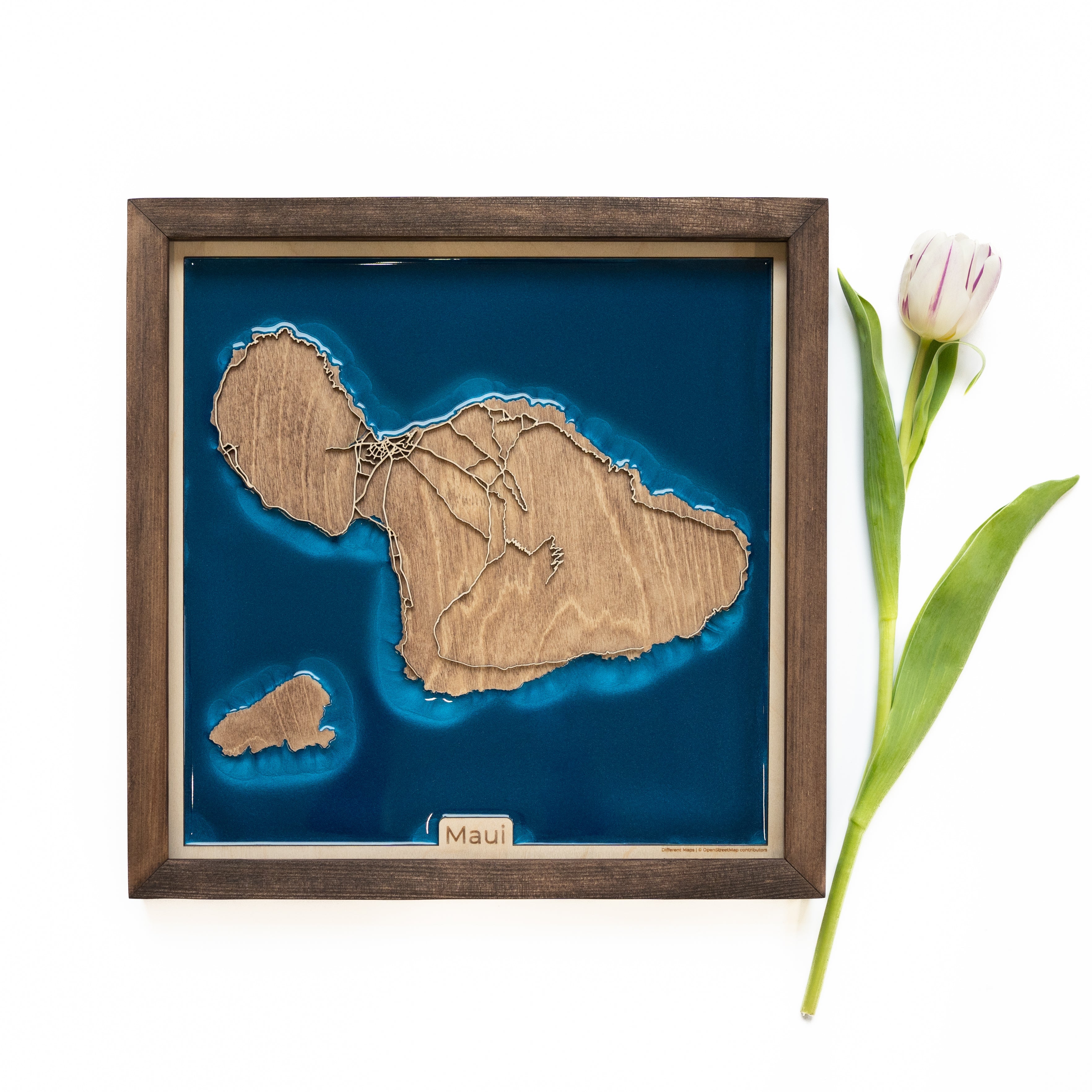 Maui Wood Map