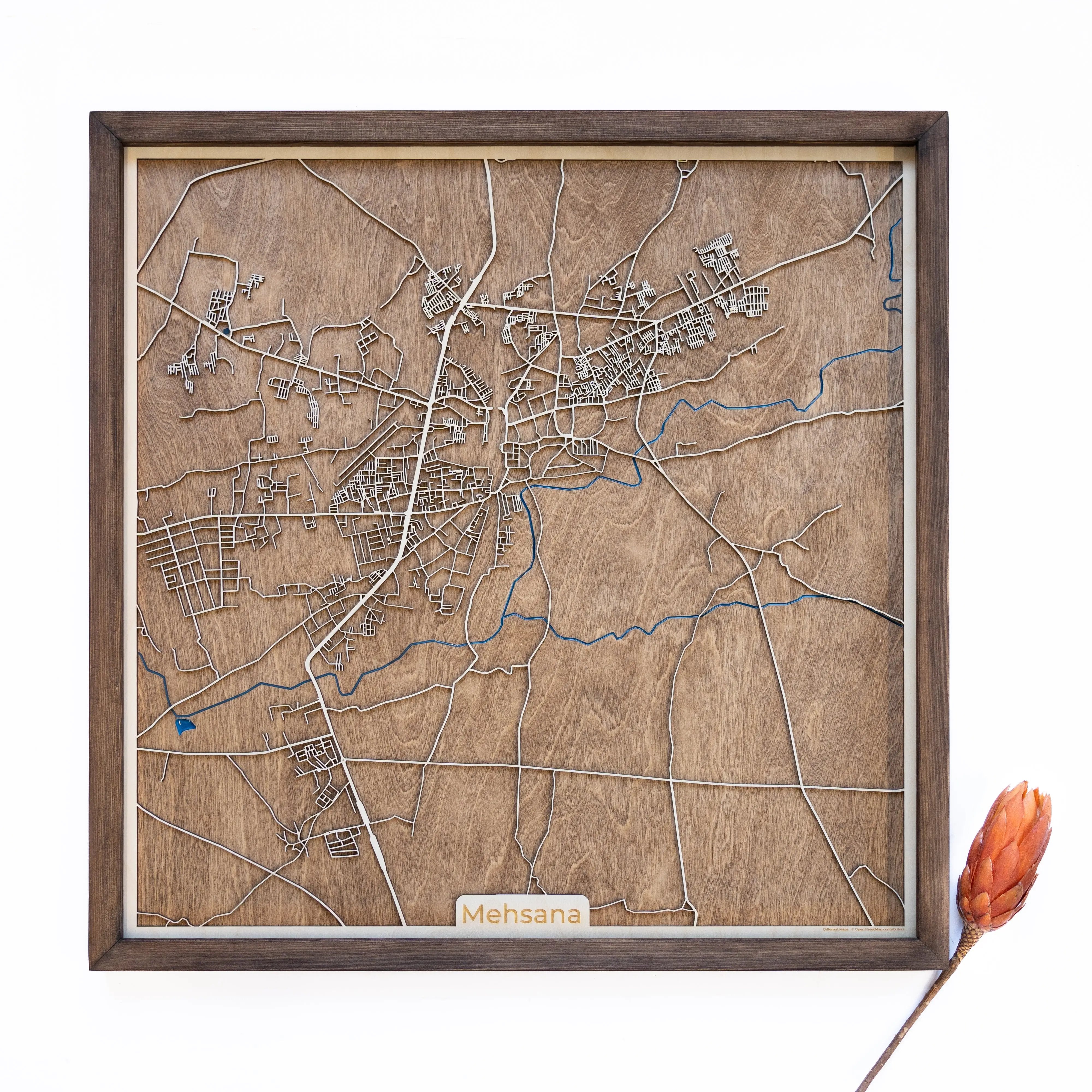 Mehsana Wood Map