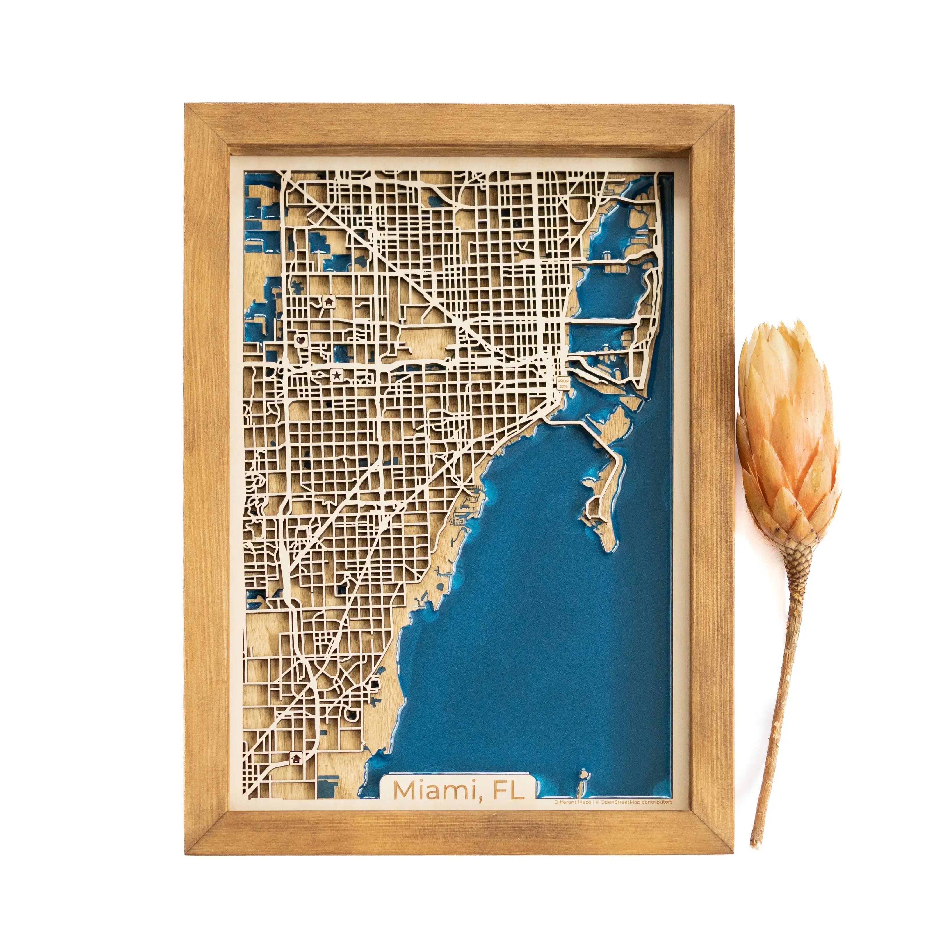 Miami Map