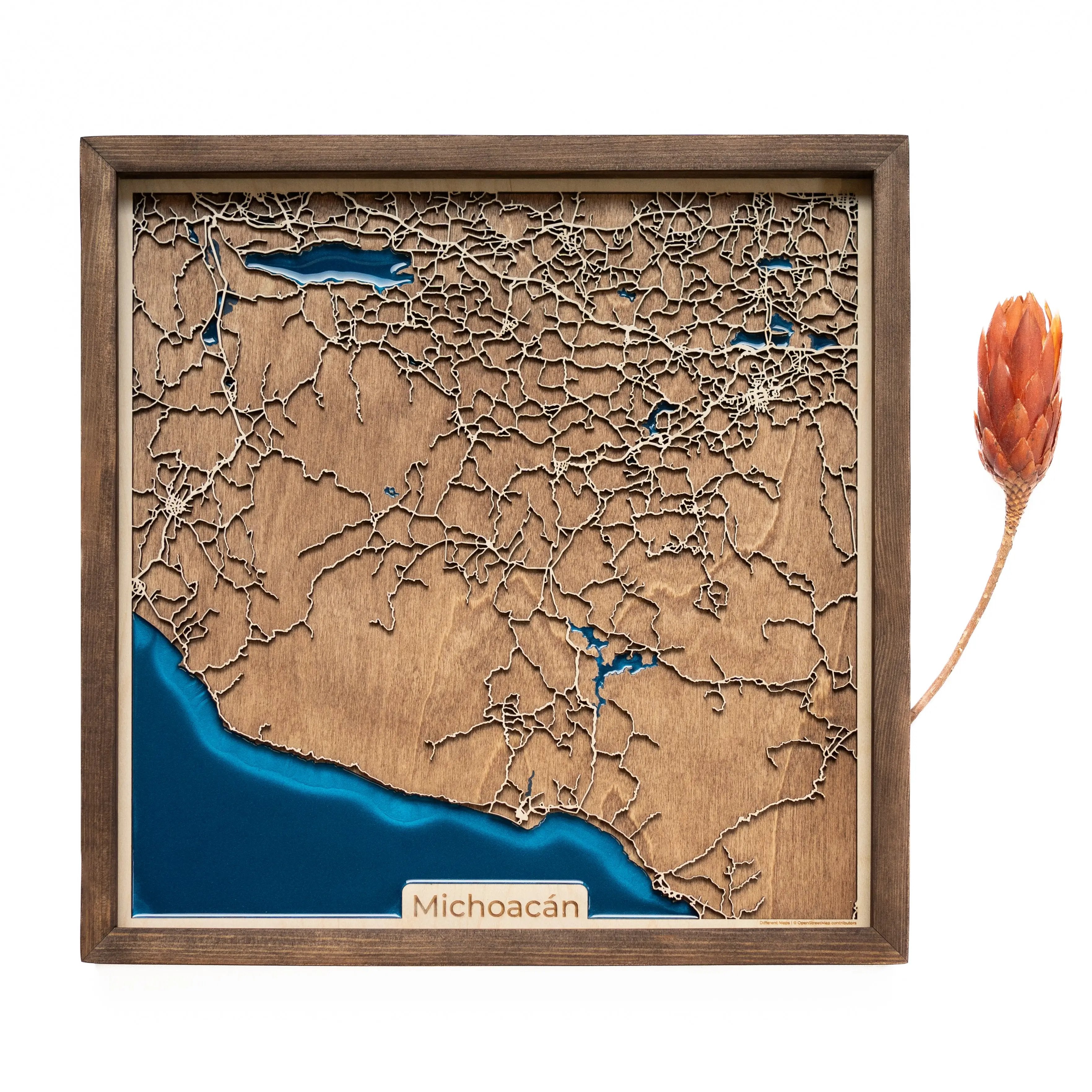 Michoacán Wood Map