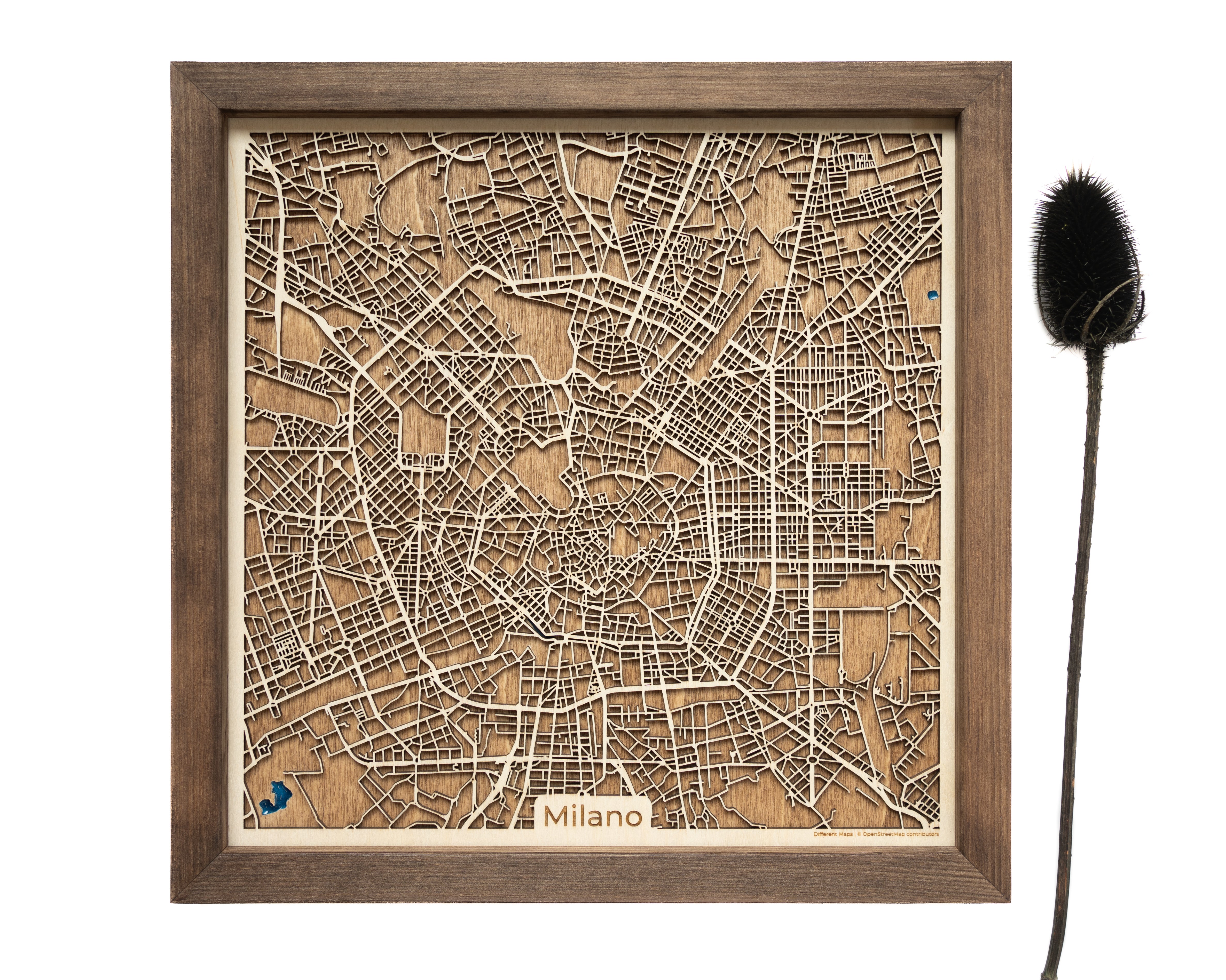 Milano Italy Wooden Map
