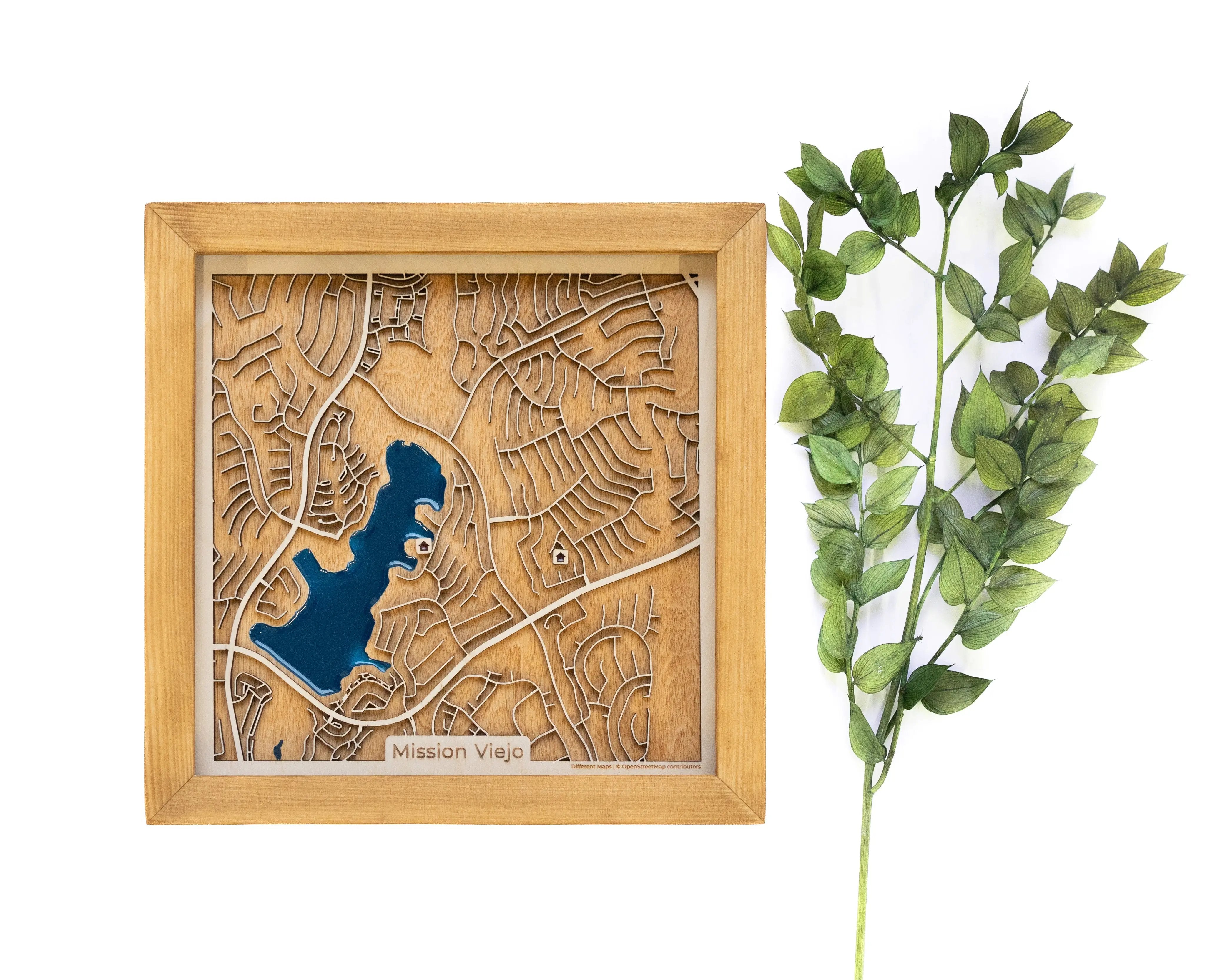 Mission Viejo Wood Map