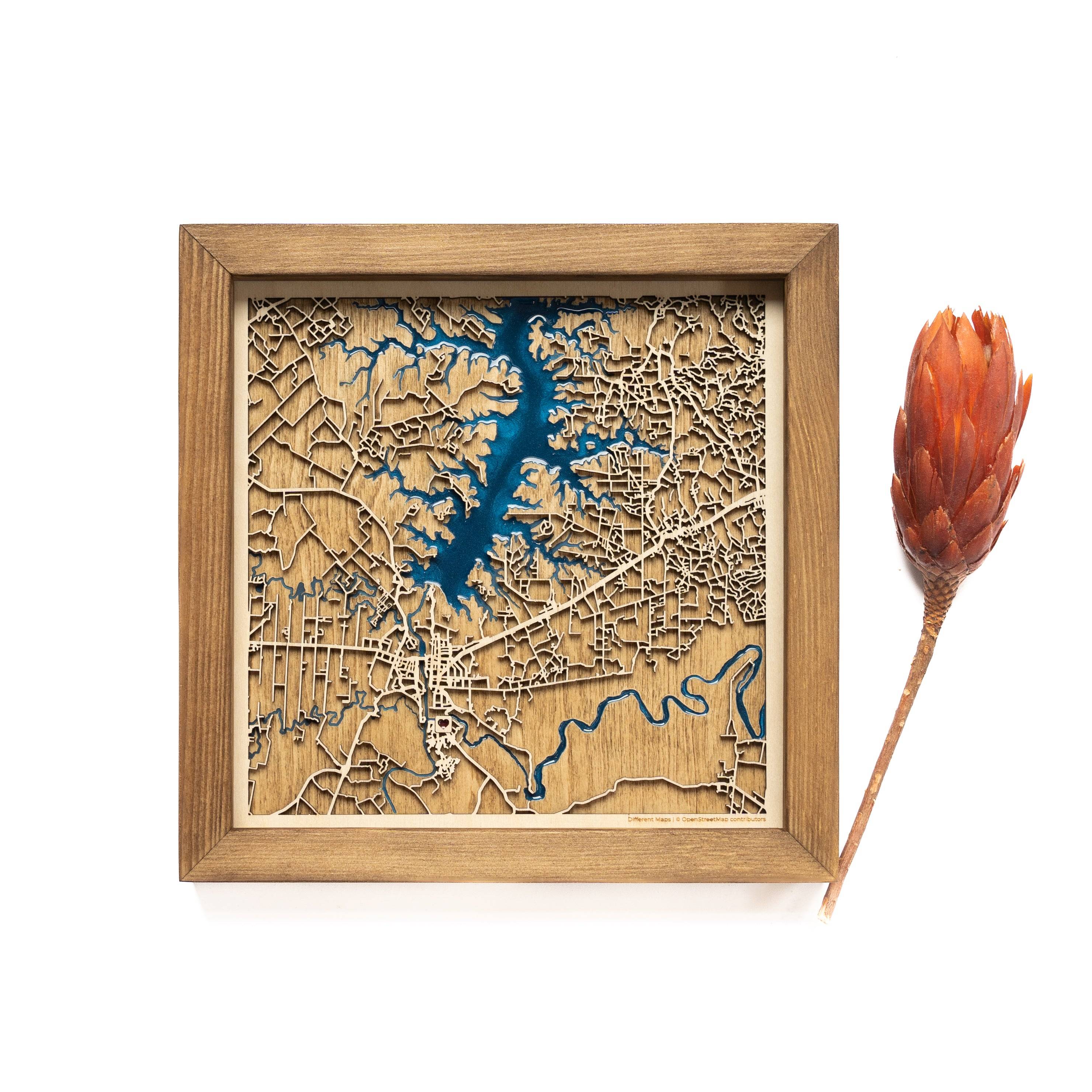 Ciudad del Este Wood Map