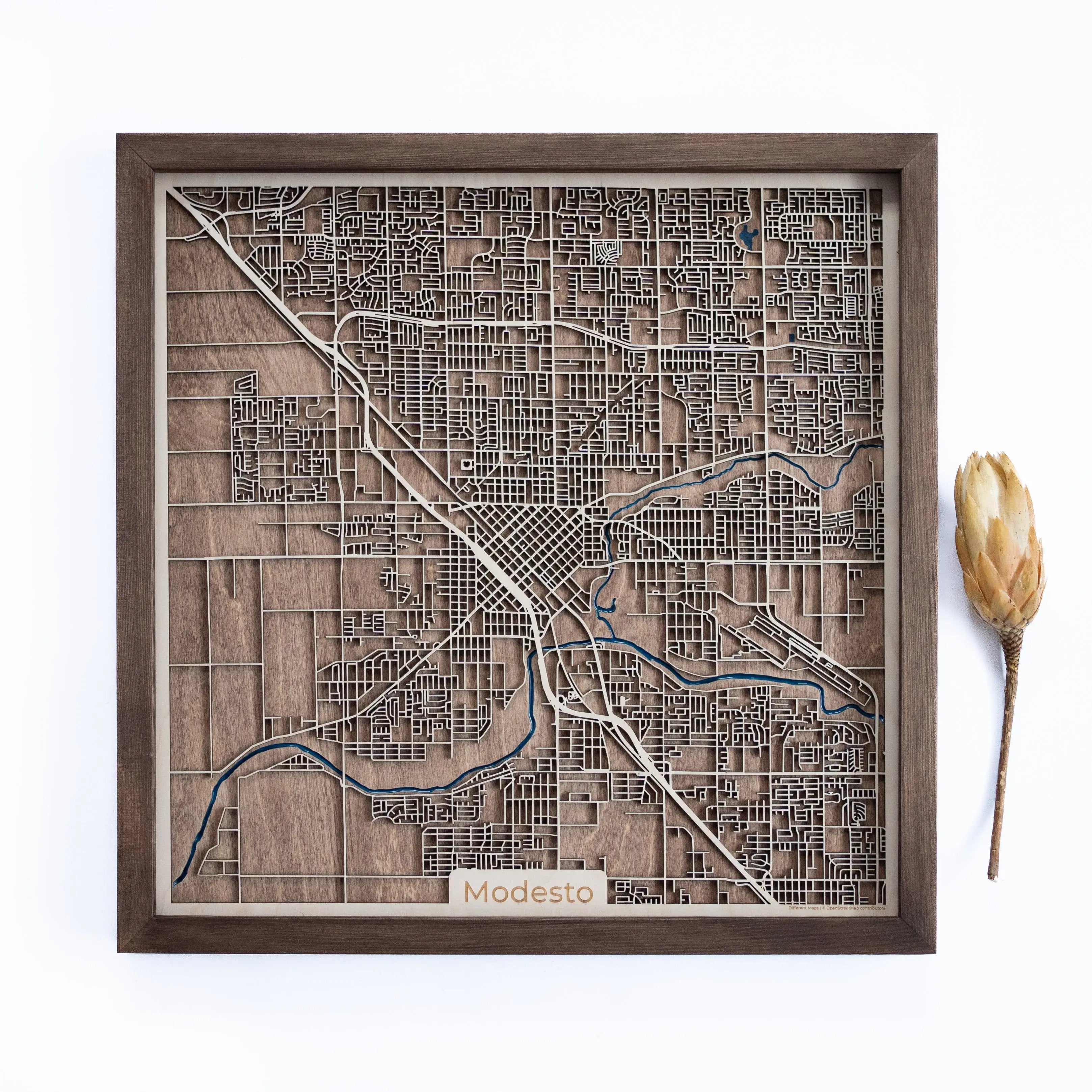 Modesto Wood Map