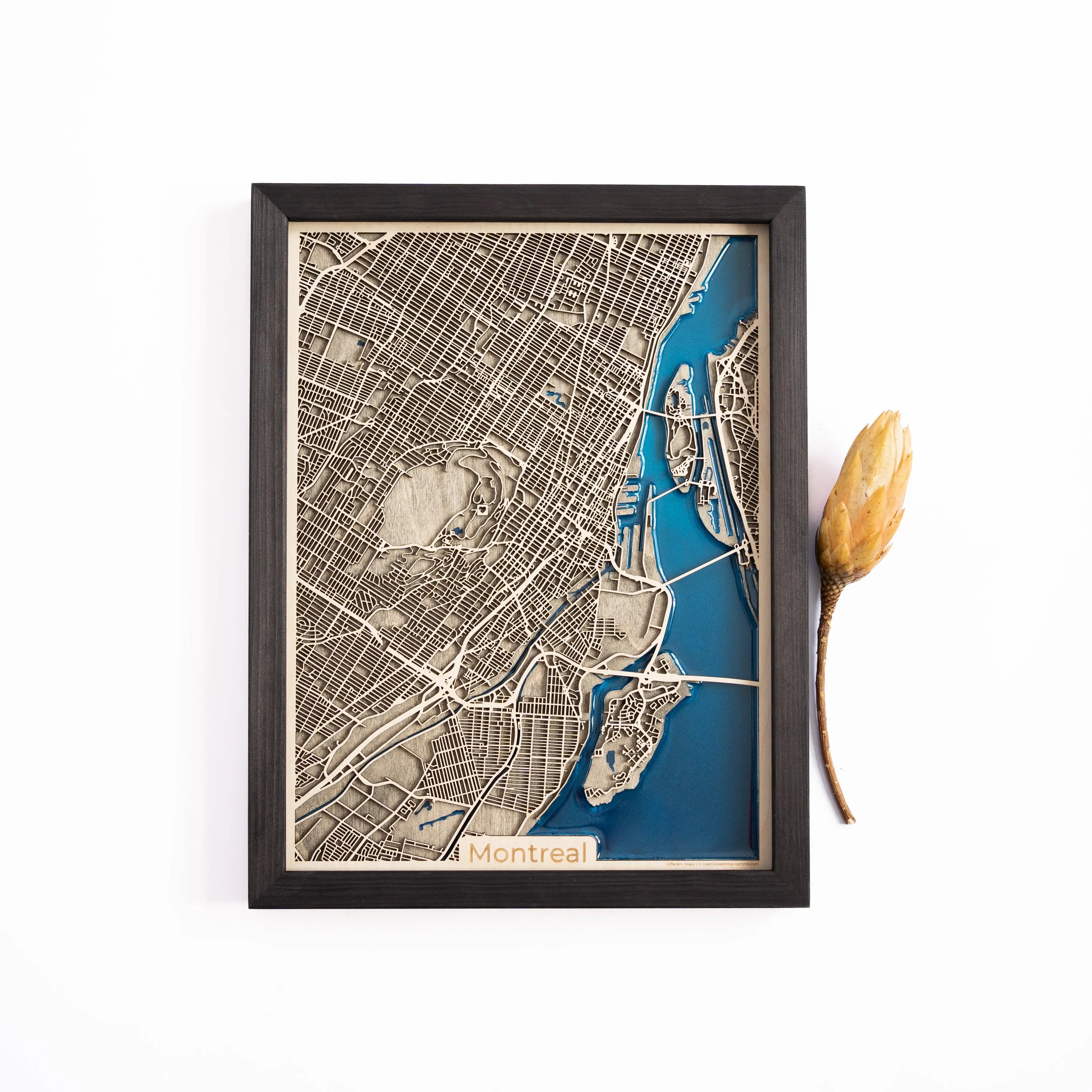 Montreal Wood Map