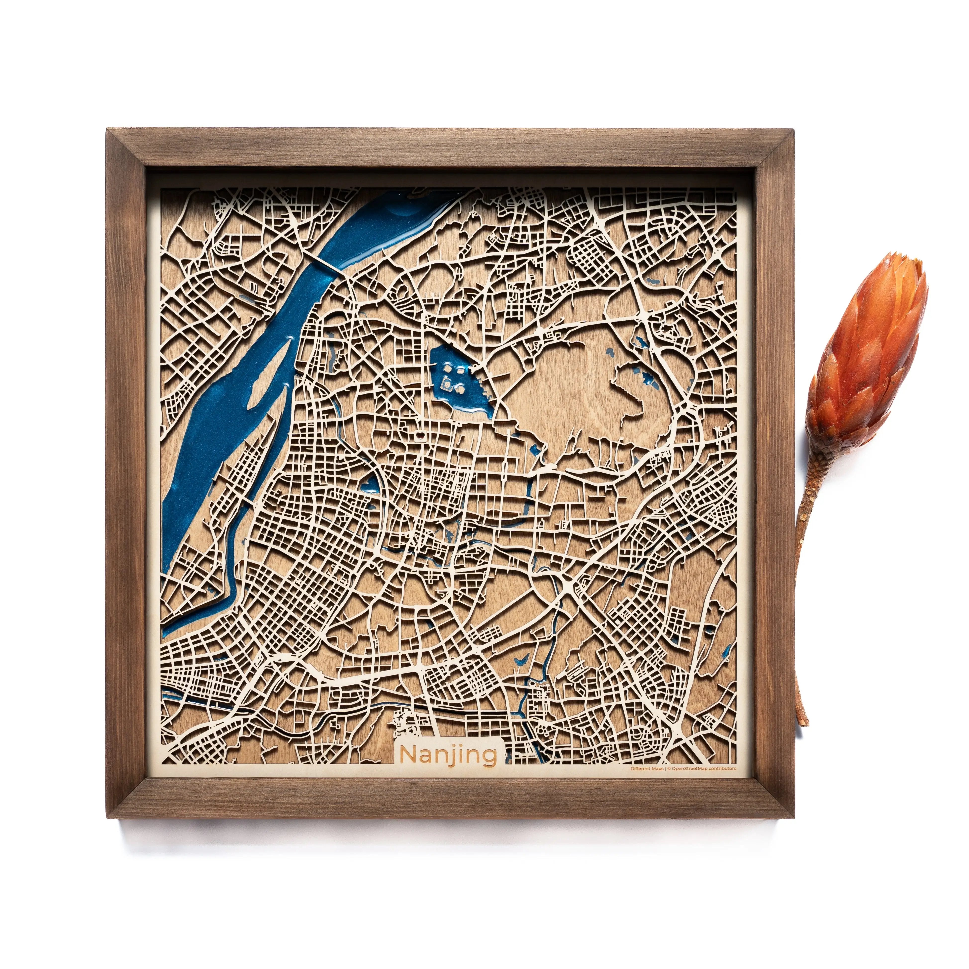 Nanjing Wood Map