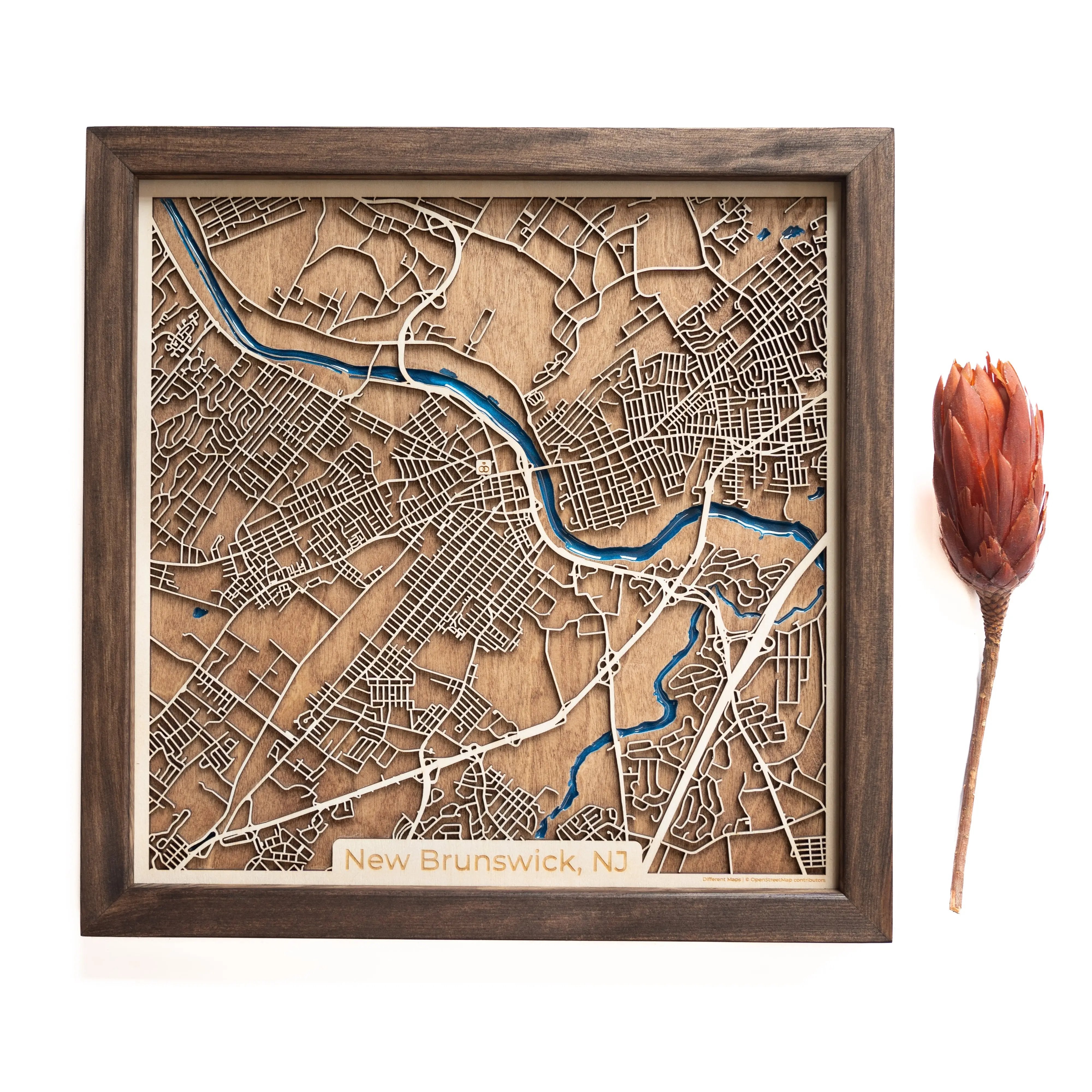 New Brunswick, New Jersey Wood Map