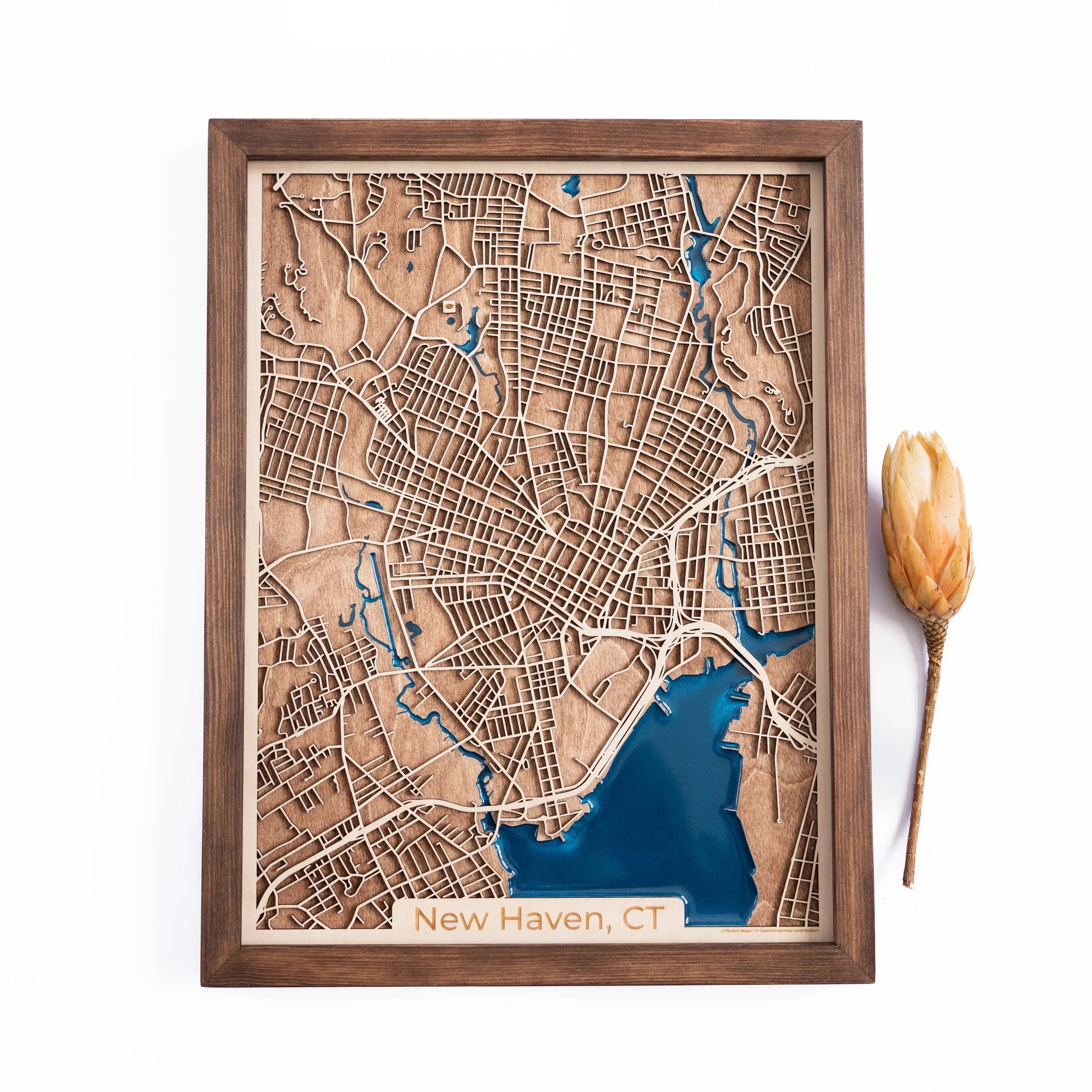 New Haven Wood Map