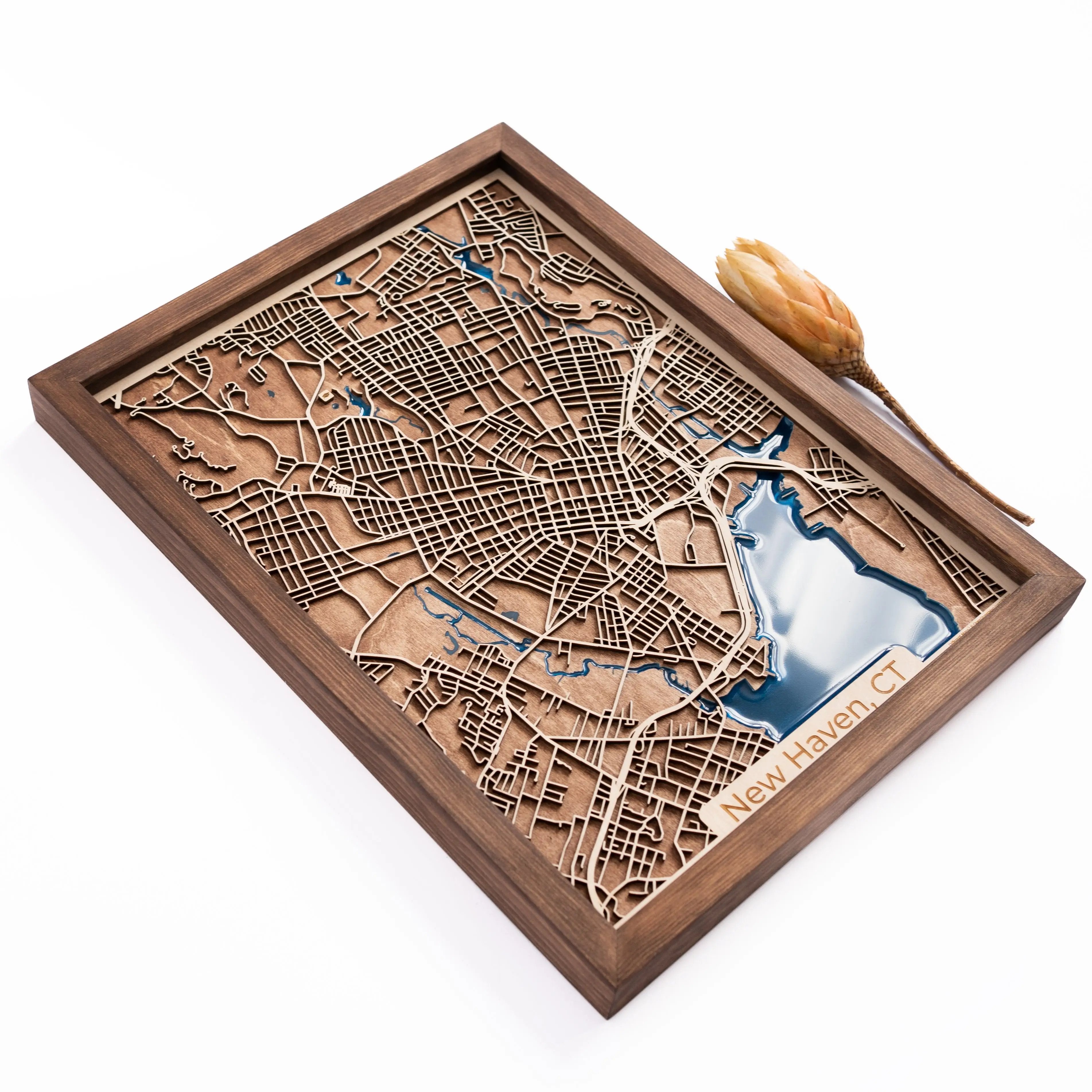New Haven Map
