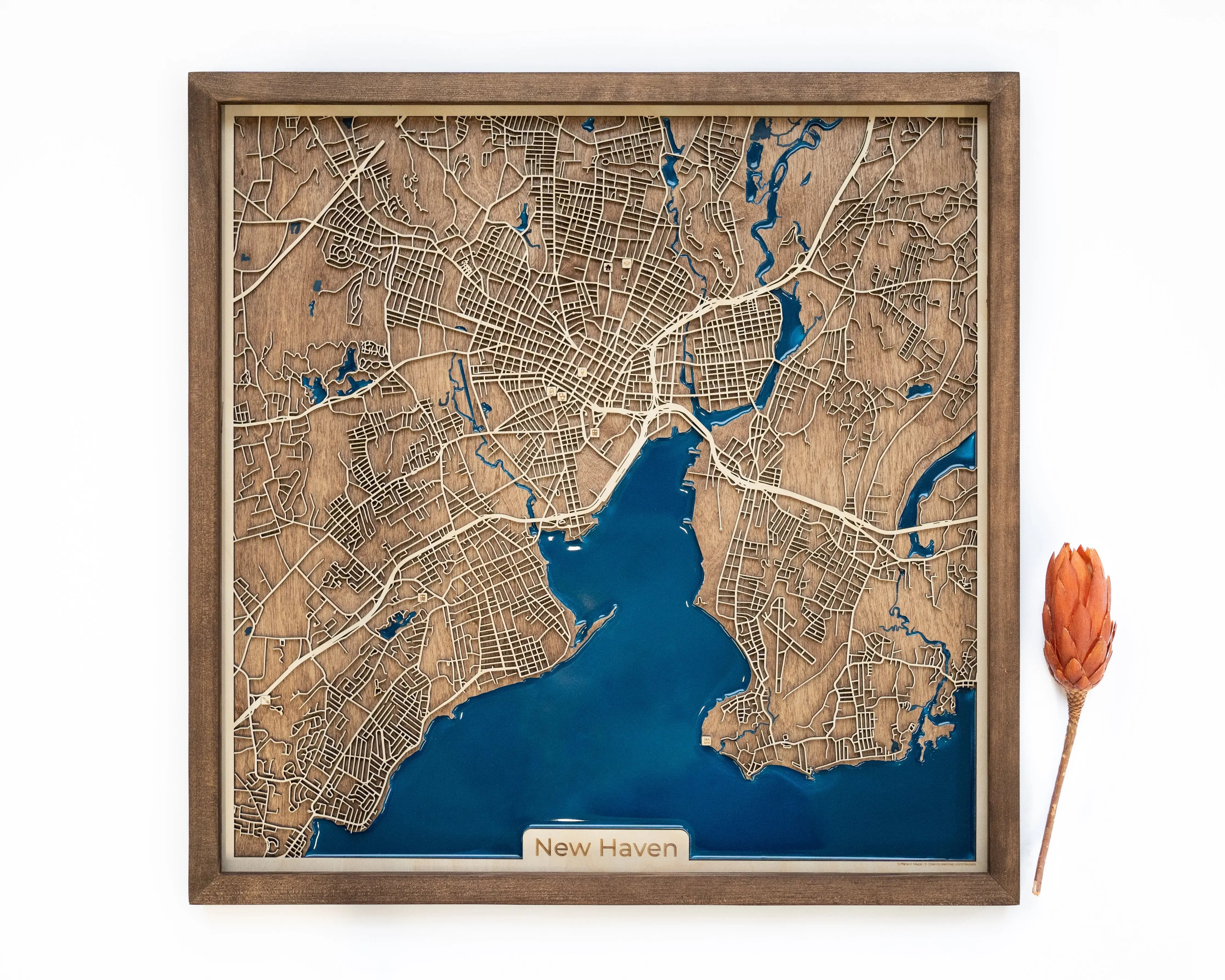 New Haven Map