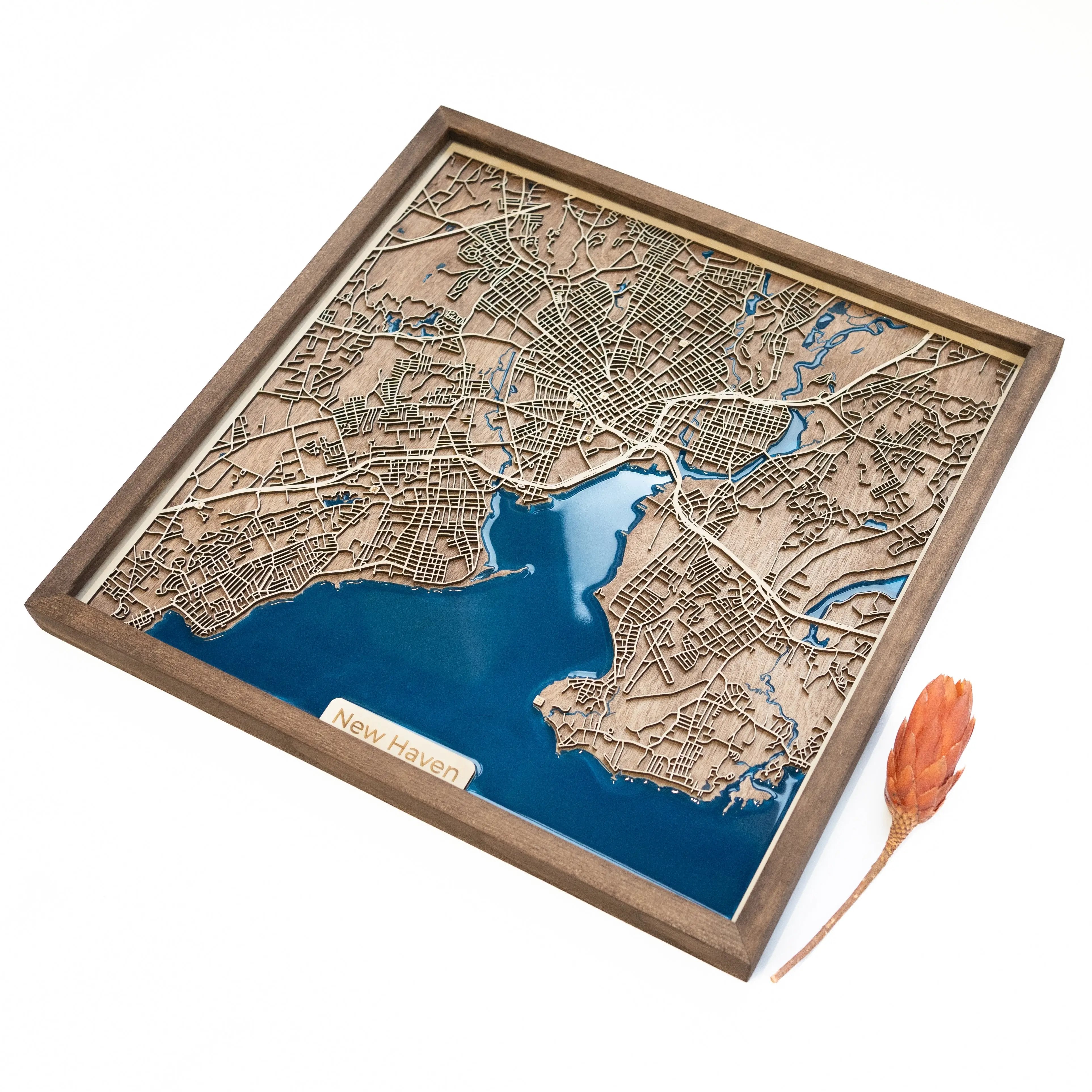 New Haven Map