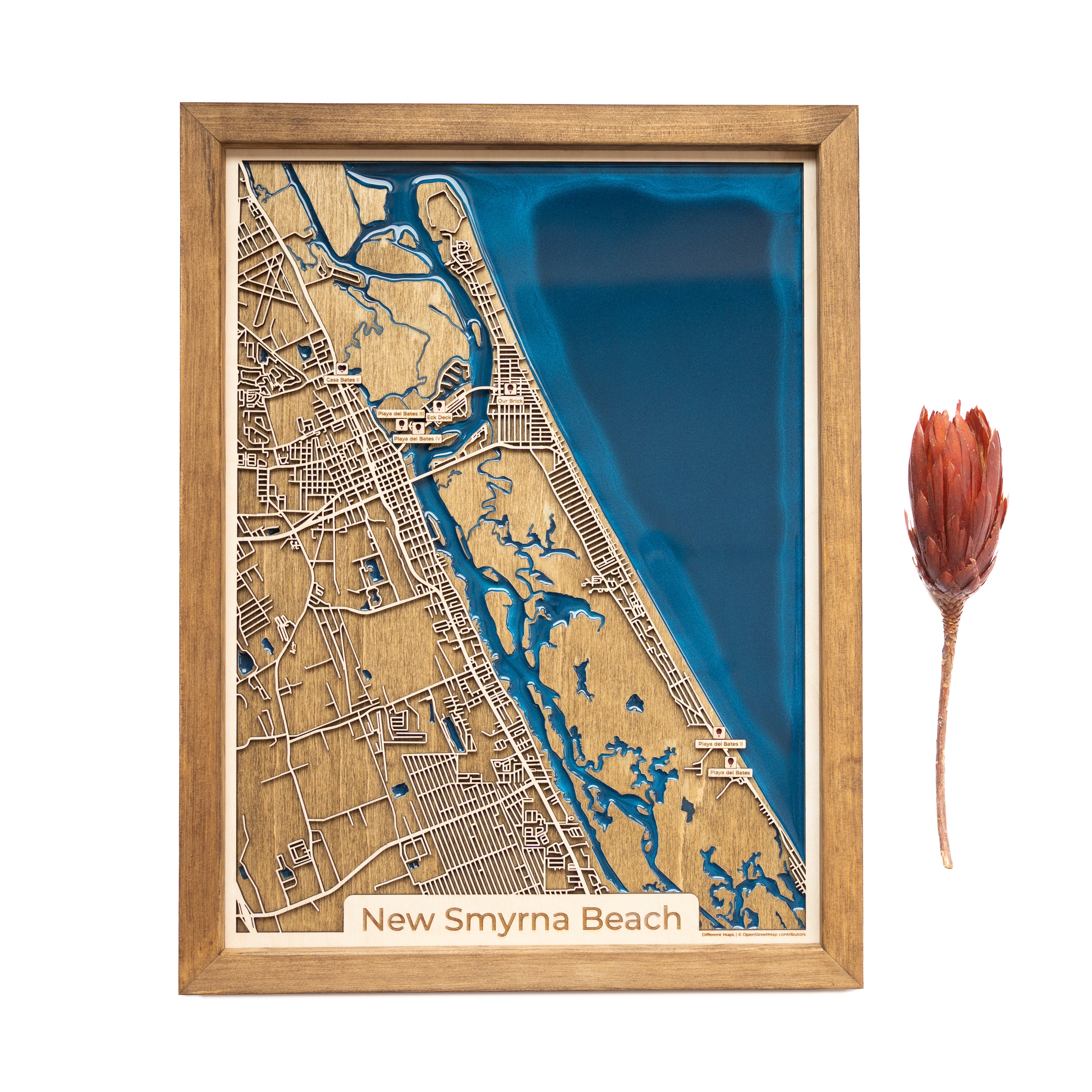 New Smyrna Beach FL Map