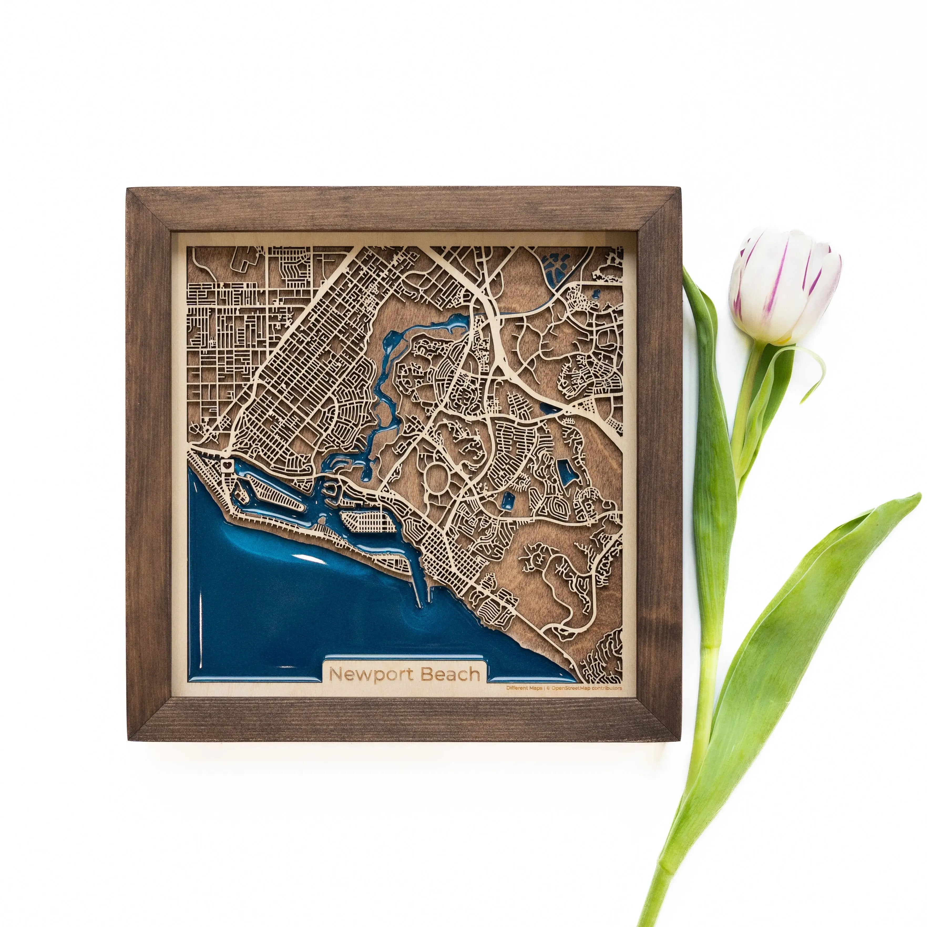Newport Beach Wooden Map