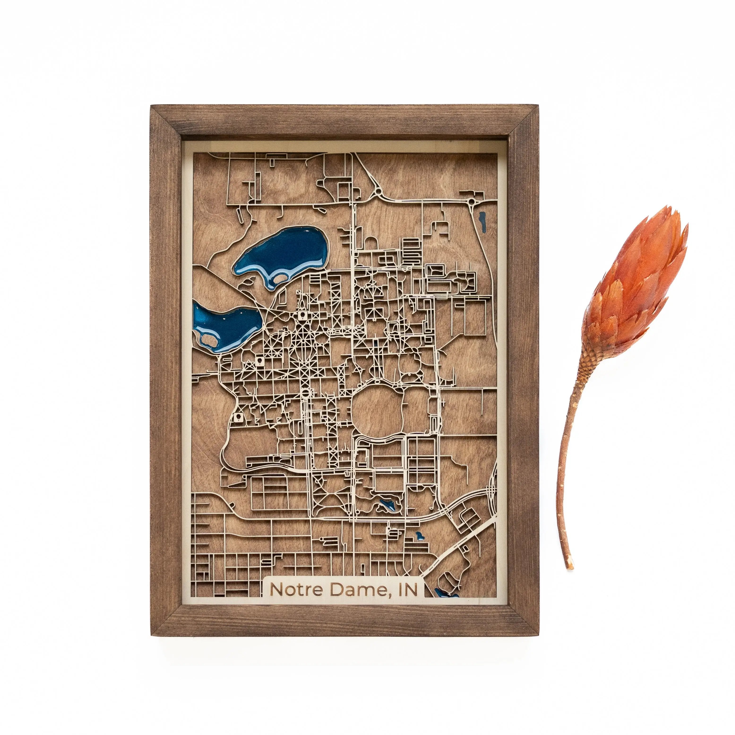 Notre Dame Wood Map