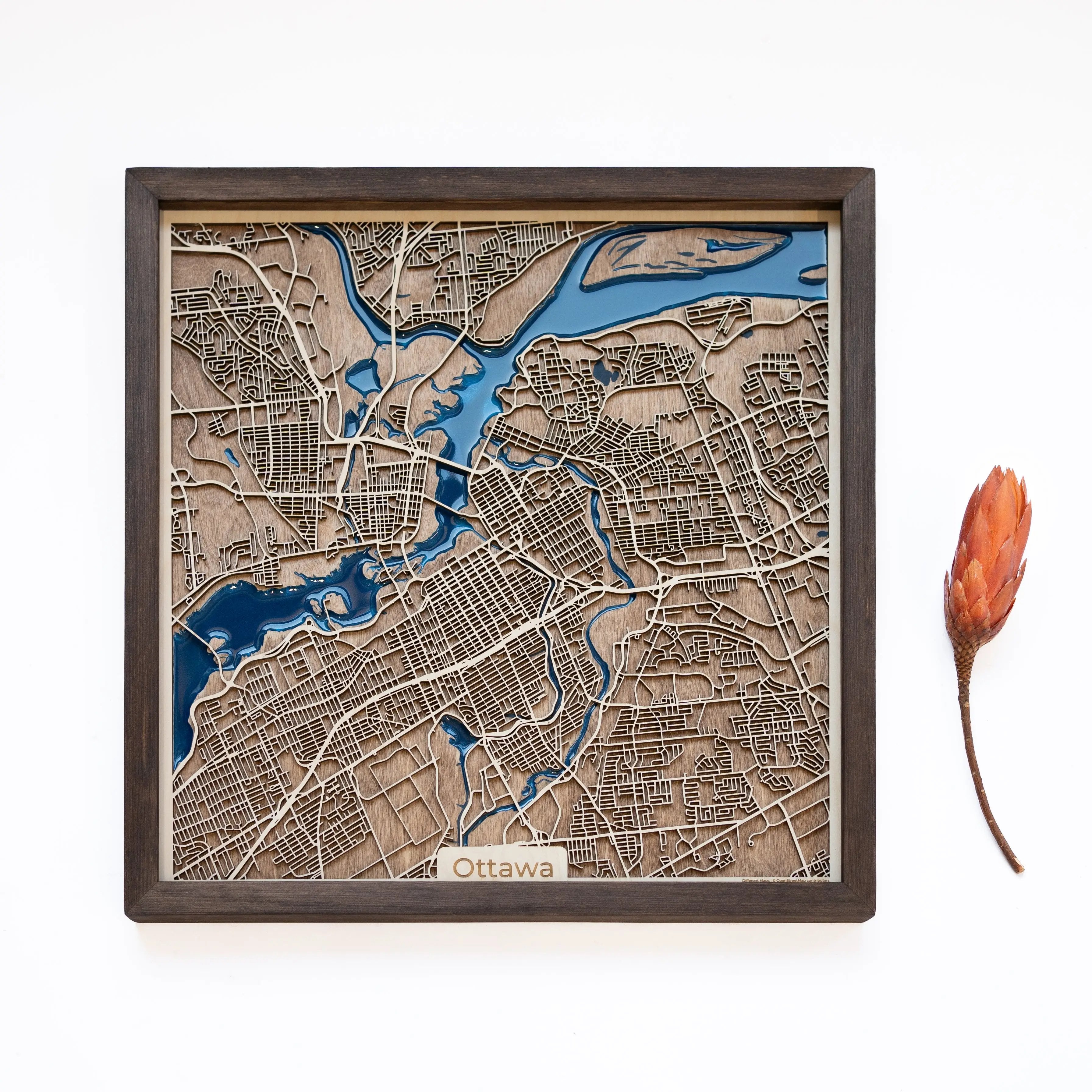 Ottawa Wood Map