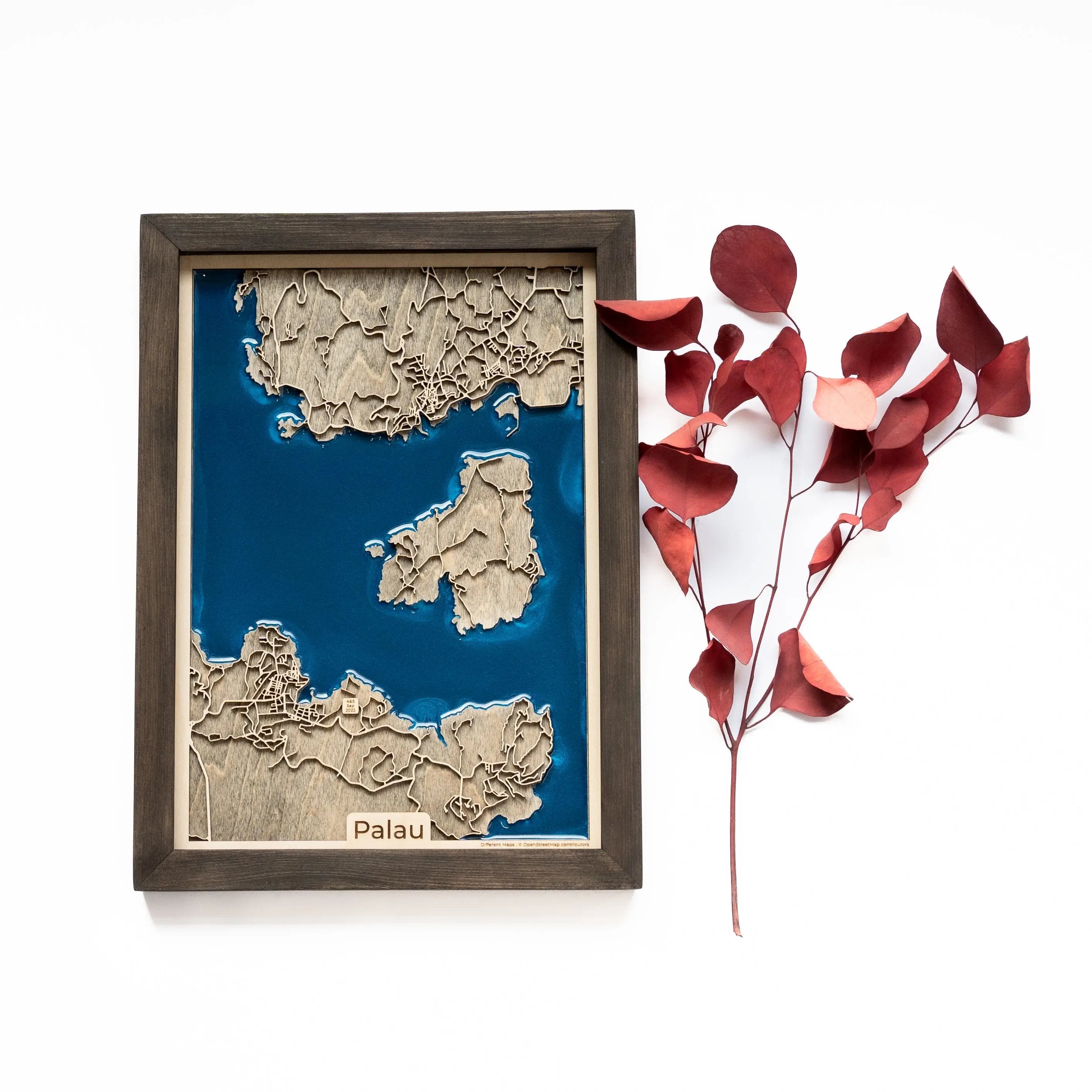 Palau Wood Map