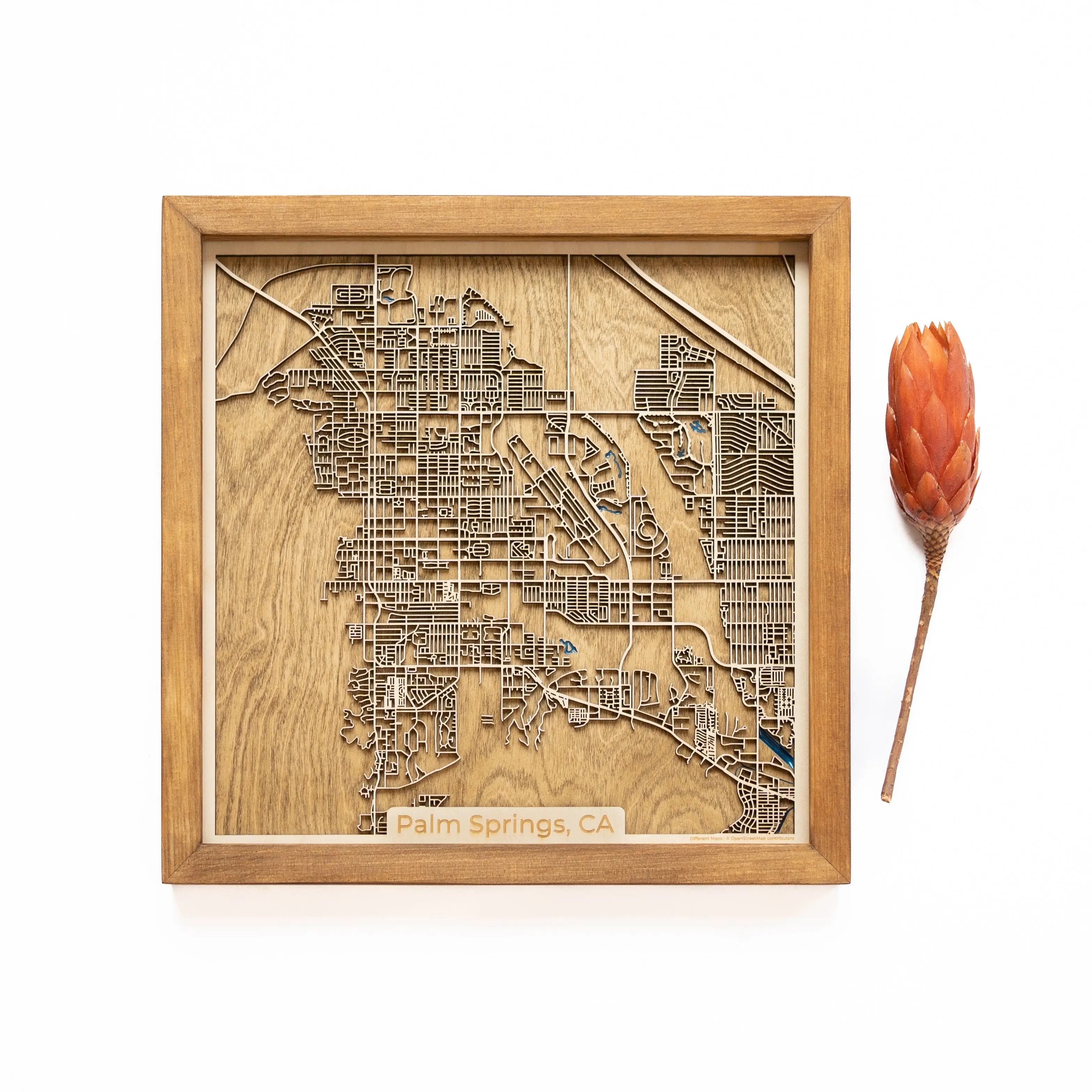 Palm Springs Wood Map