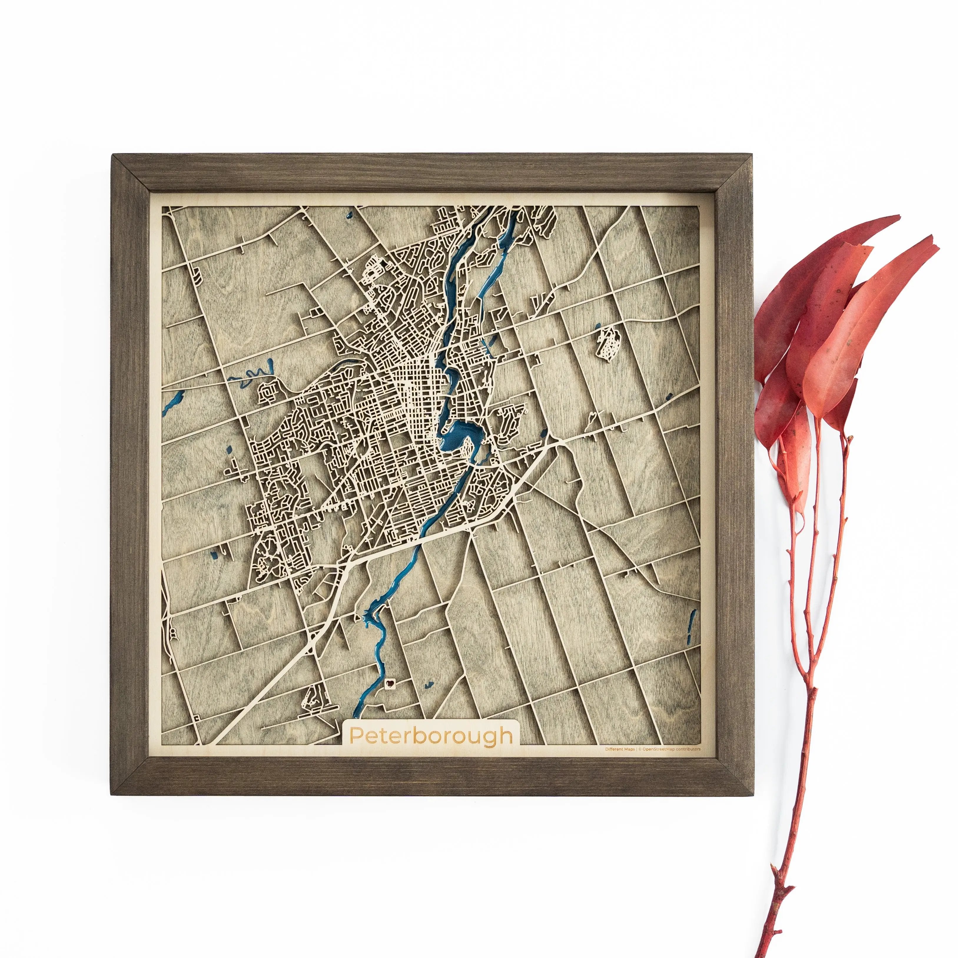 Peterborough Wood Map