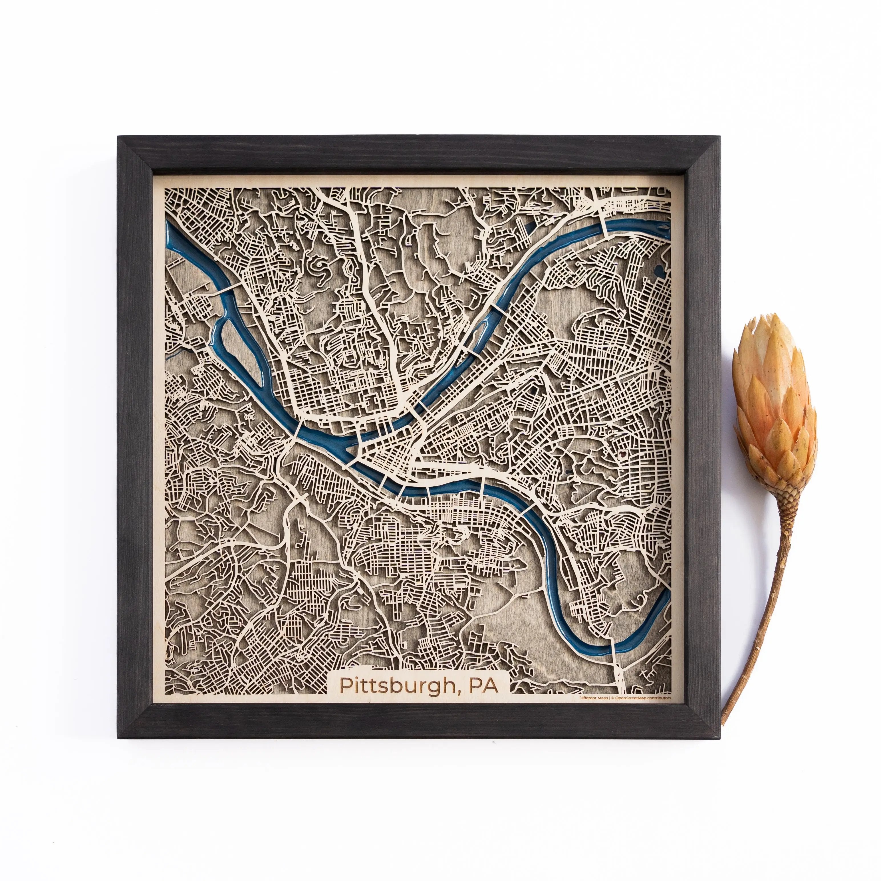 Pittsburgh Wood Map