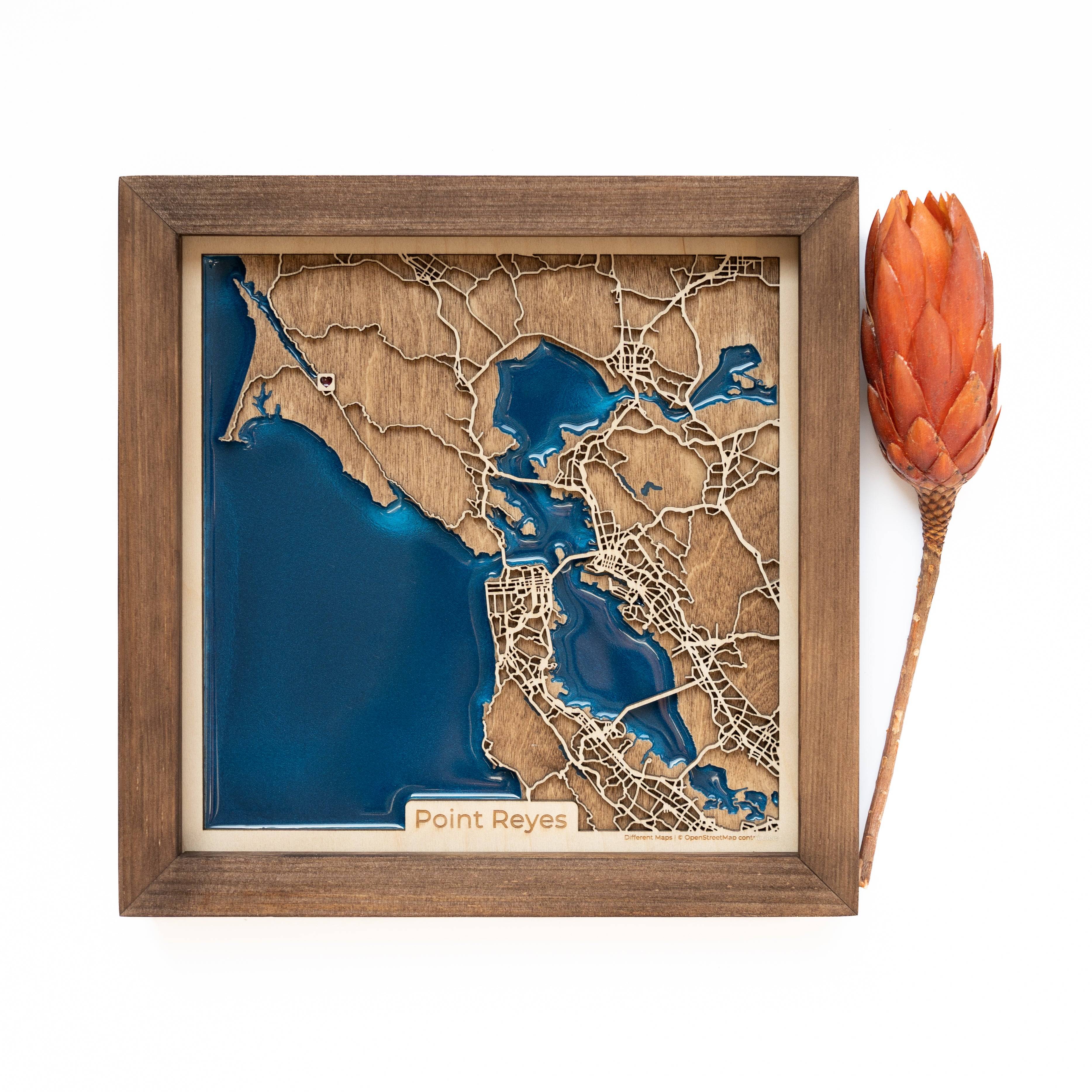 Point Reyes Wood Map